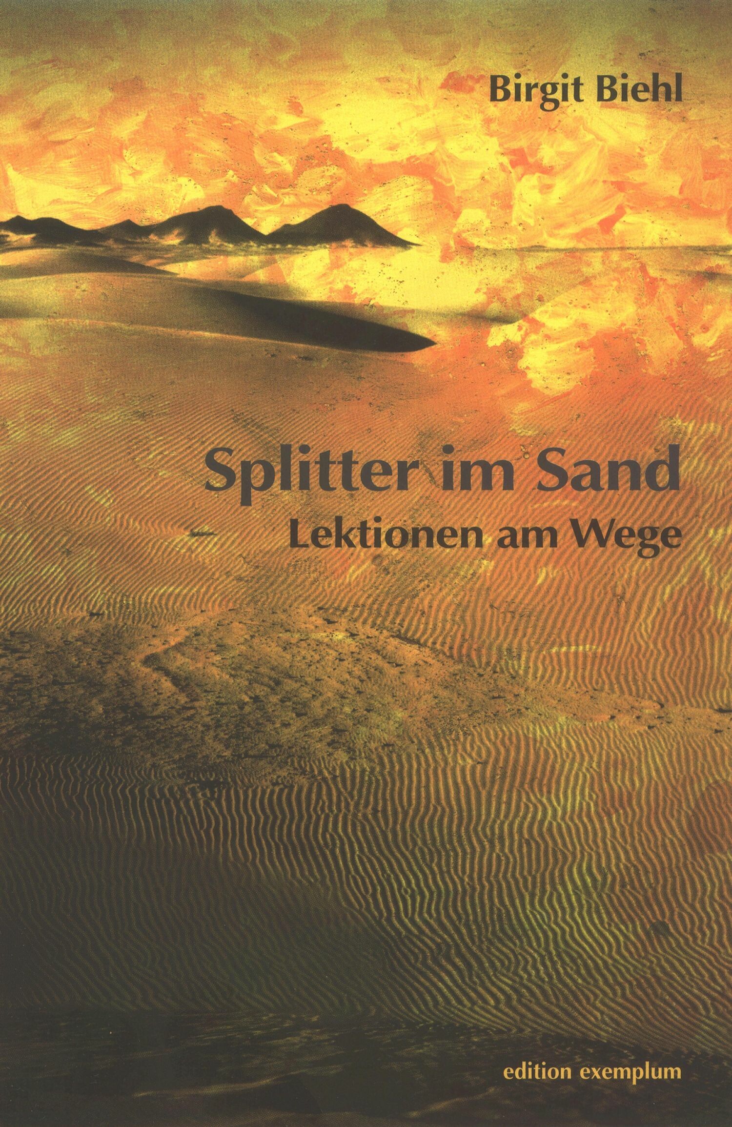 Splitter im Sand