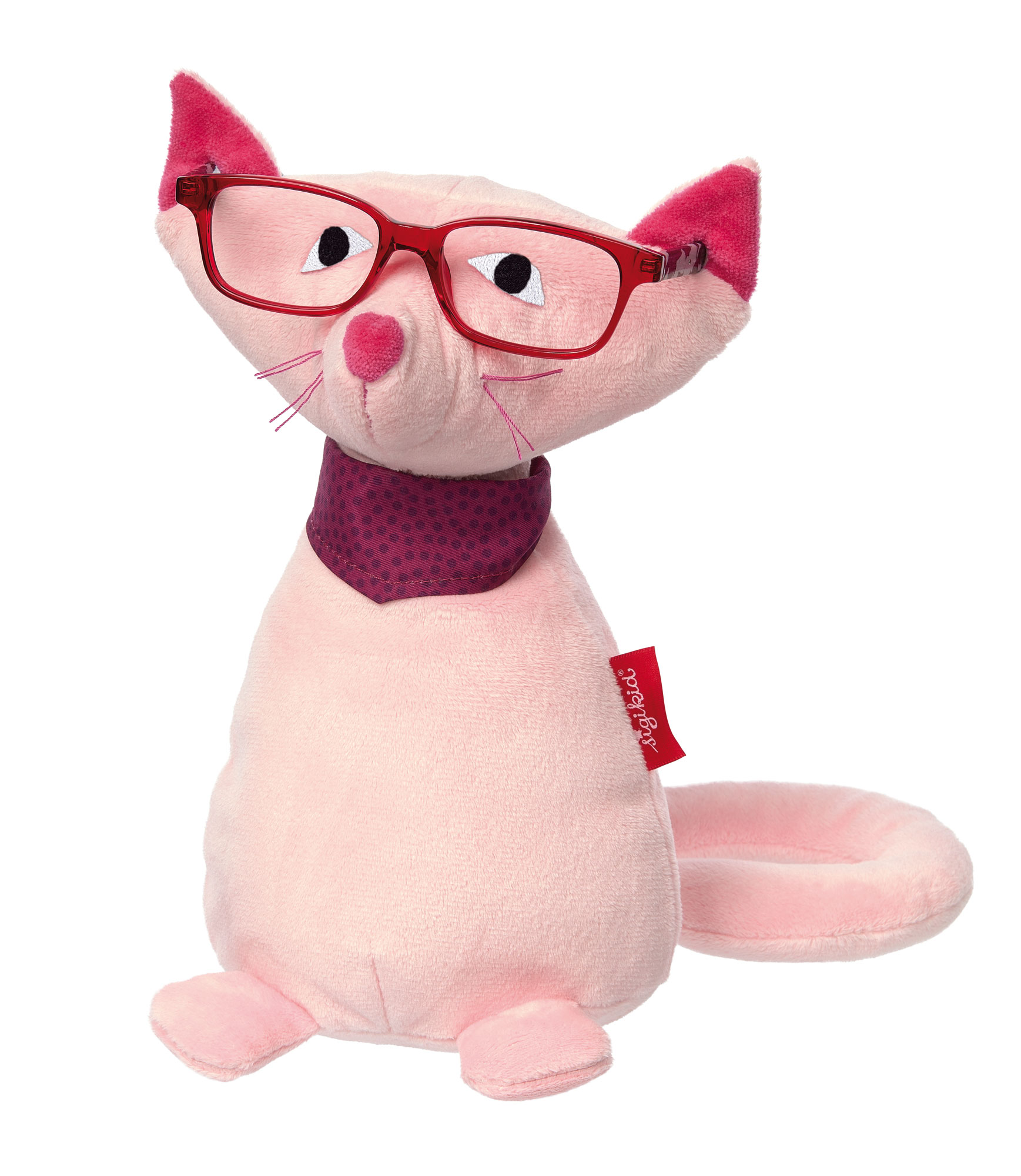 Nacht-Brillenträger Katze