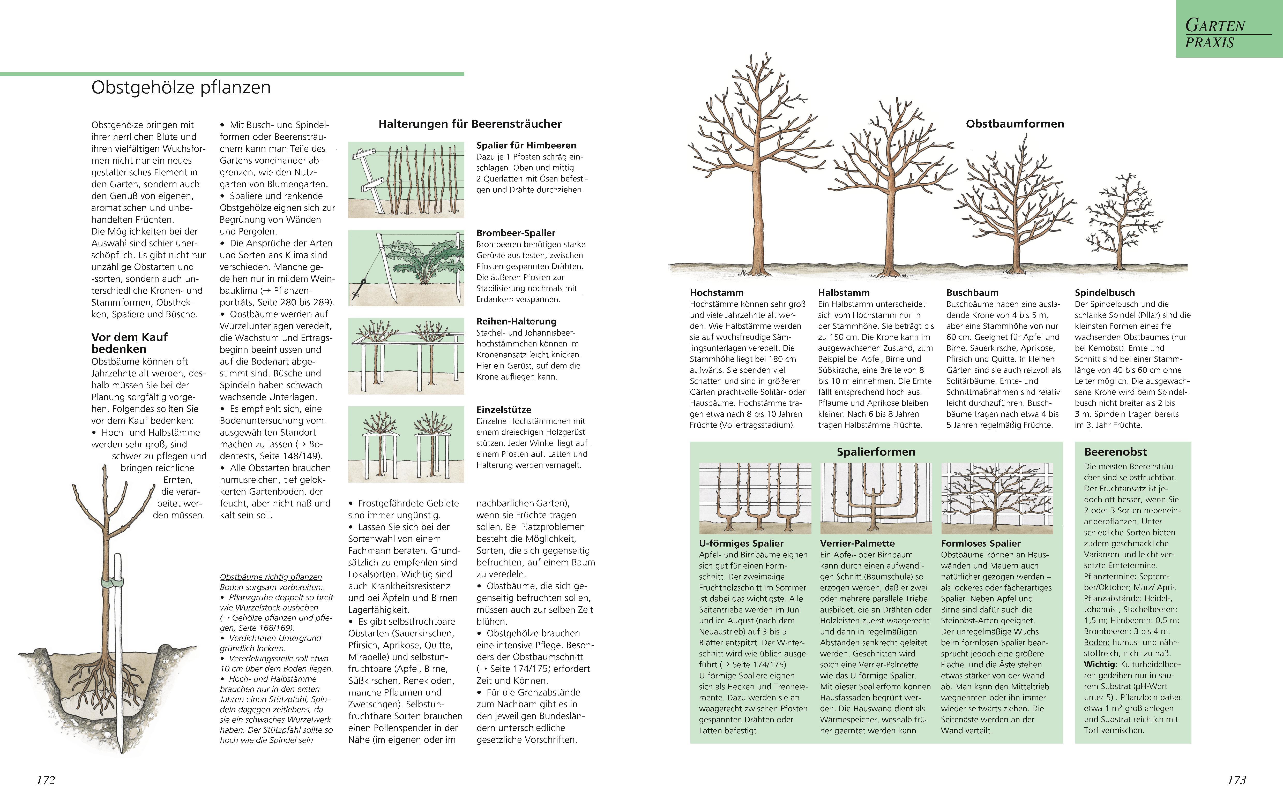 Das große GU Gartenbuch