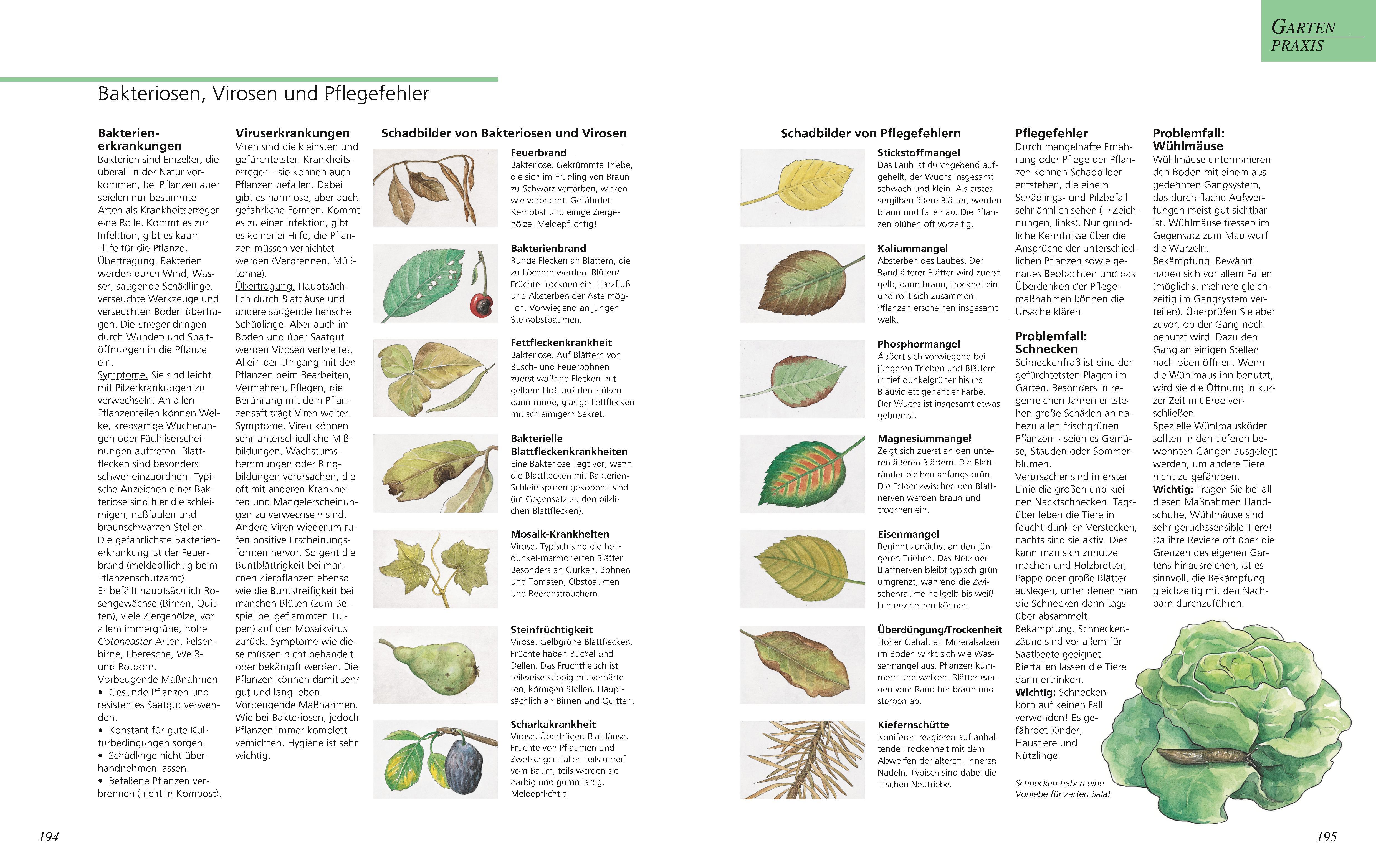 Das große GU Gartenbuch