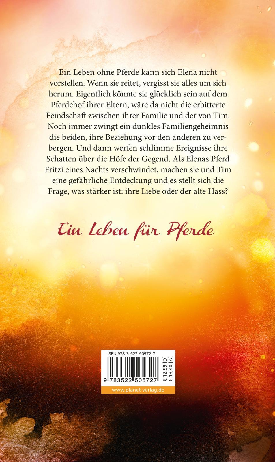 Elena - Ein Leben für Pferde 2: Sommer der Entscheidung