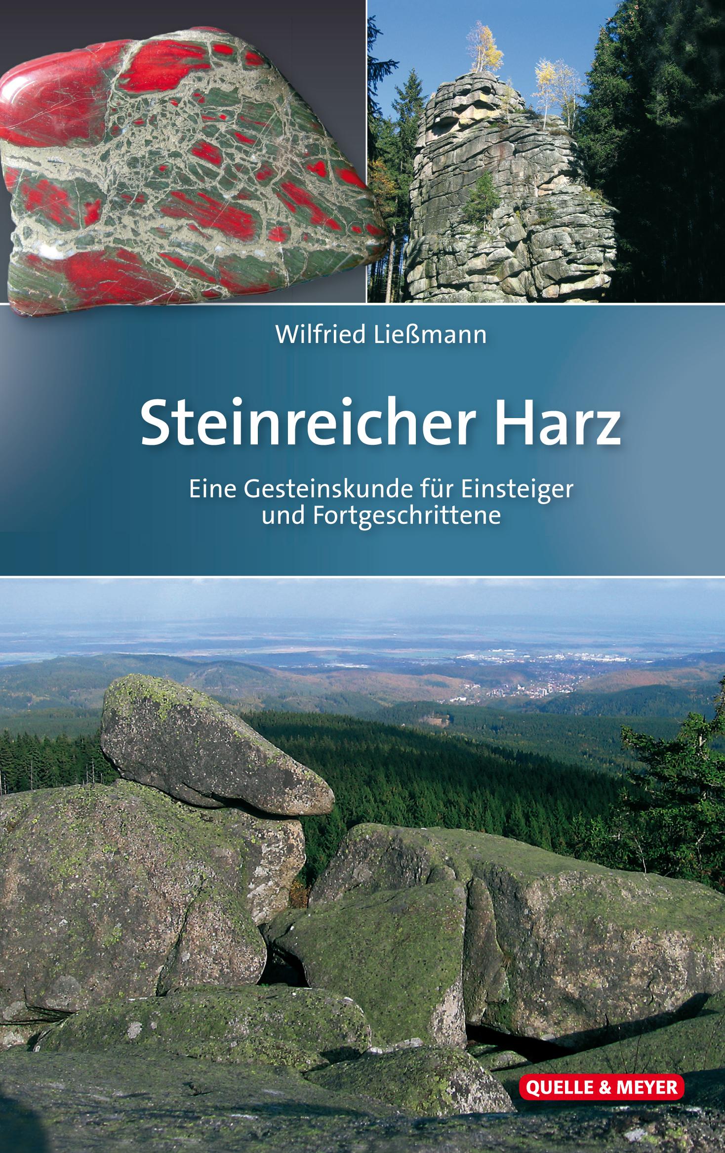 Steinreicher Harz