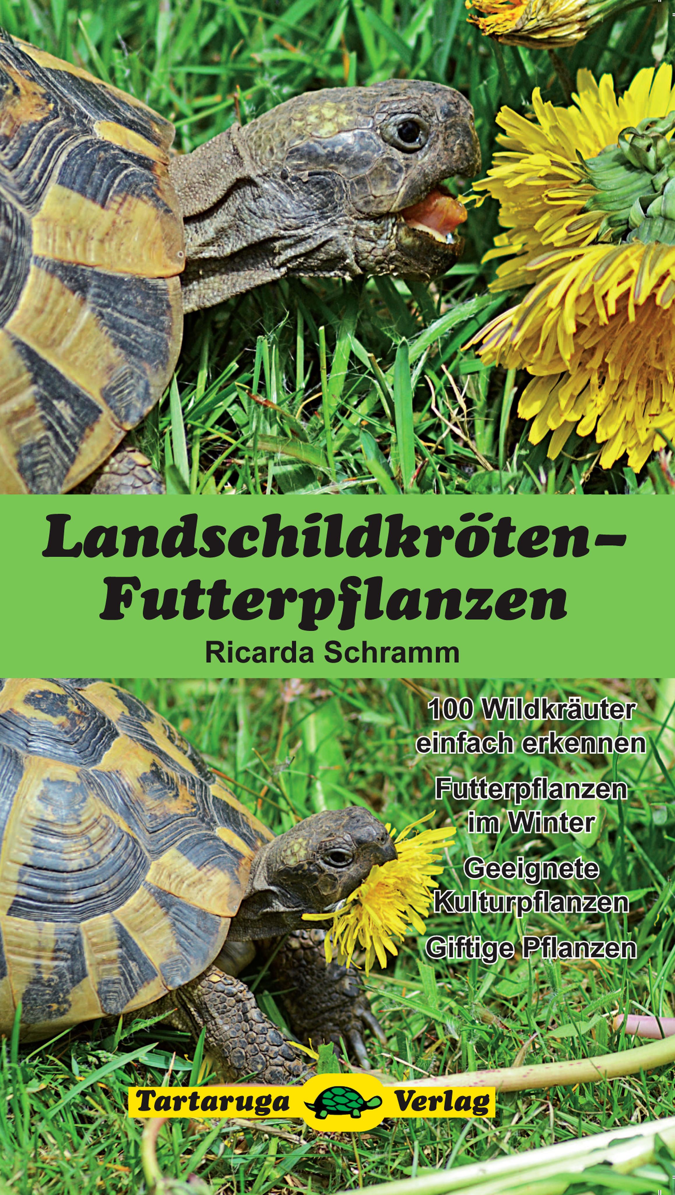 Landschildkröten-Futterpflanzen