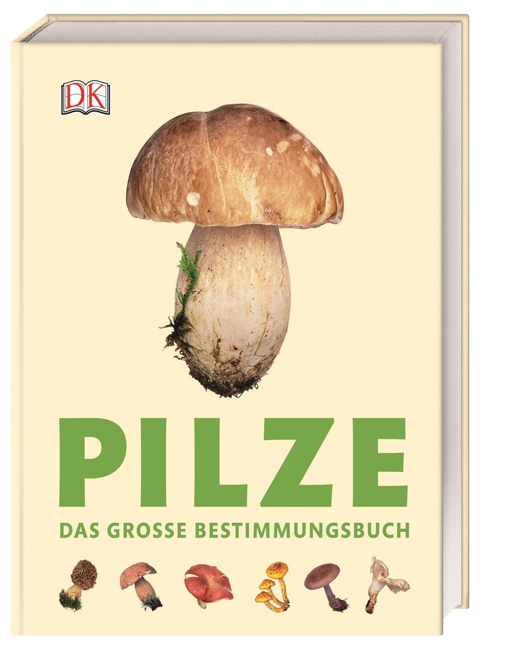 Pilze