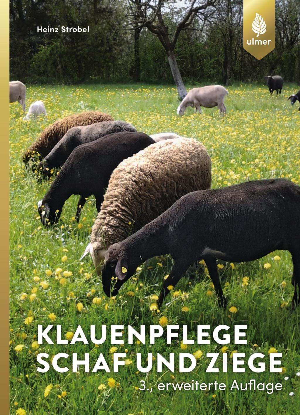 Klauenpflege Schaf und Ziege