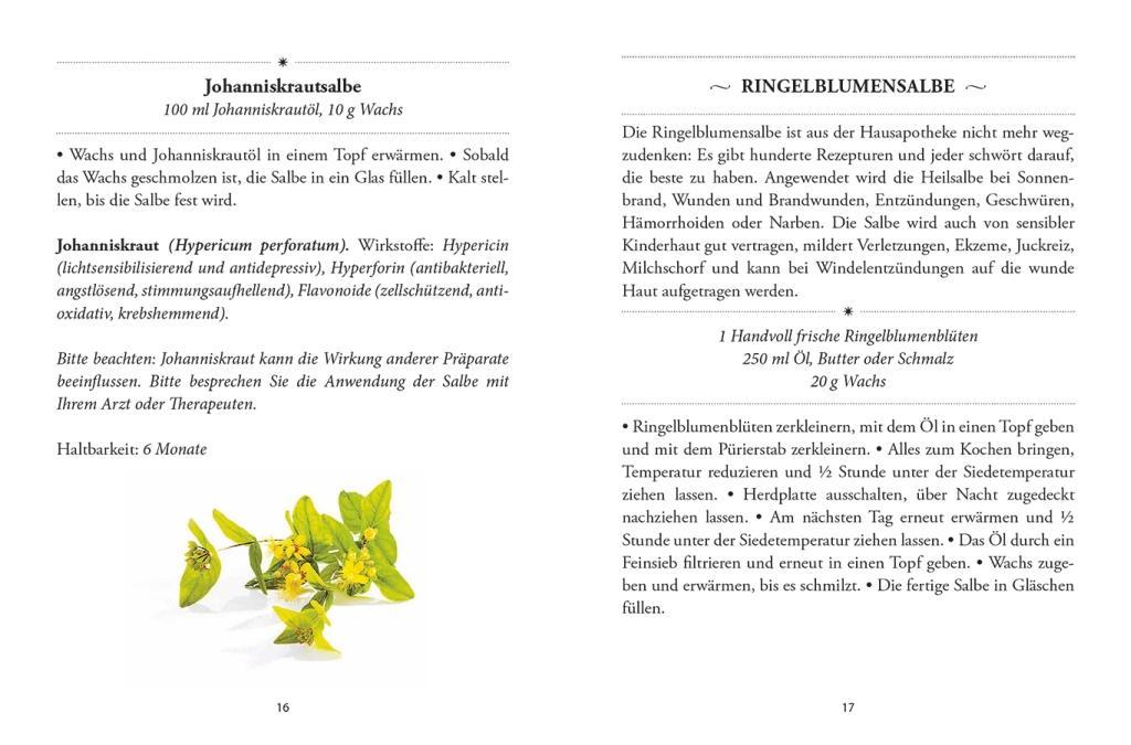 Das große kleine Buch: Heilsalben aus Wald und Wiese