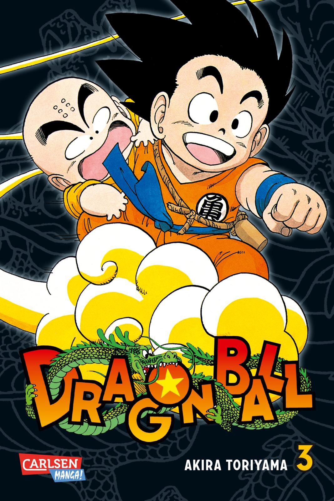 Dragon Ball Massiv 3