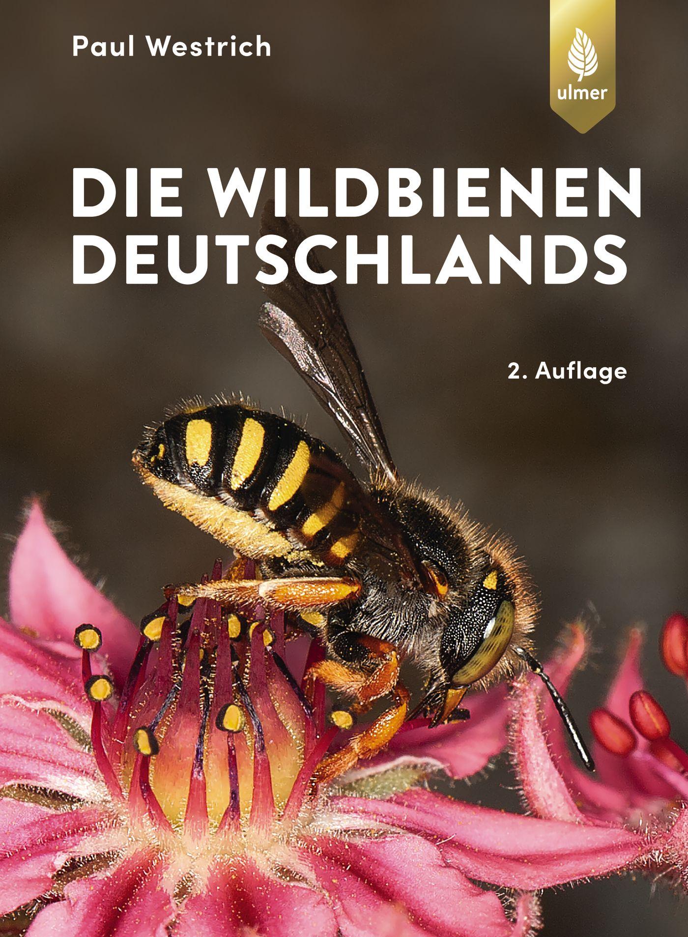 Die Wildbienen Deutschlands