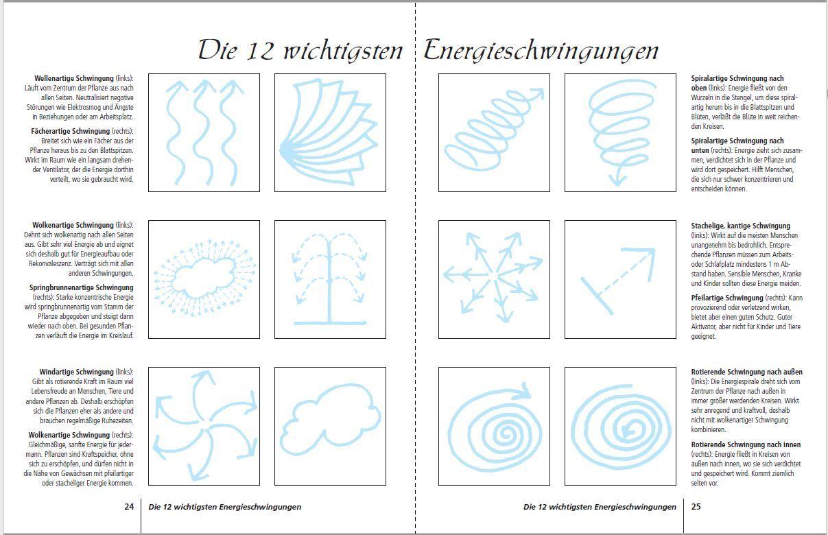 Positive Energie mit Zimmerpflanzen - 86 Energiepflanzen für mehr Kraft, Harmonie und innere Ruhe