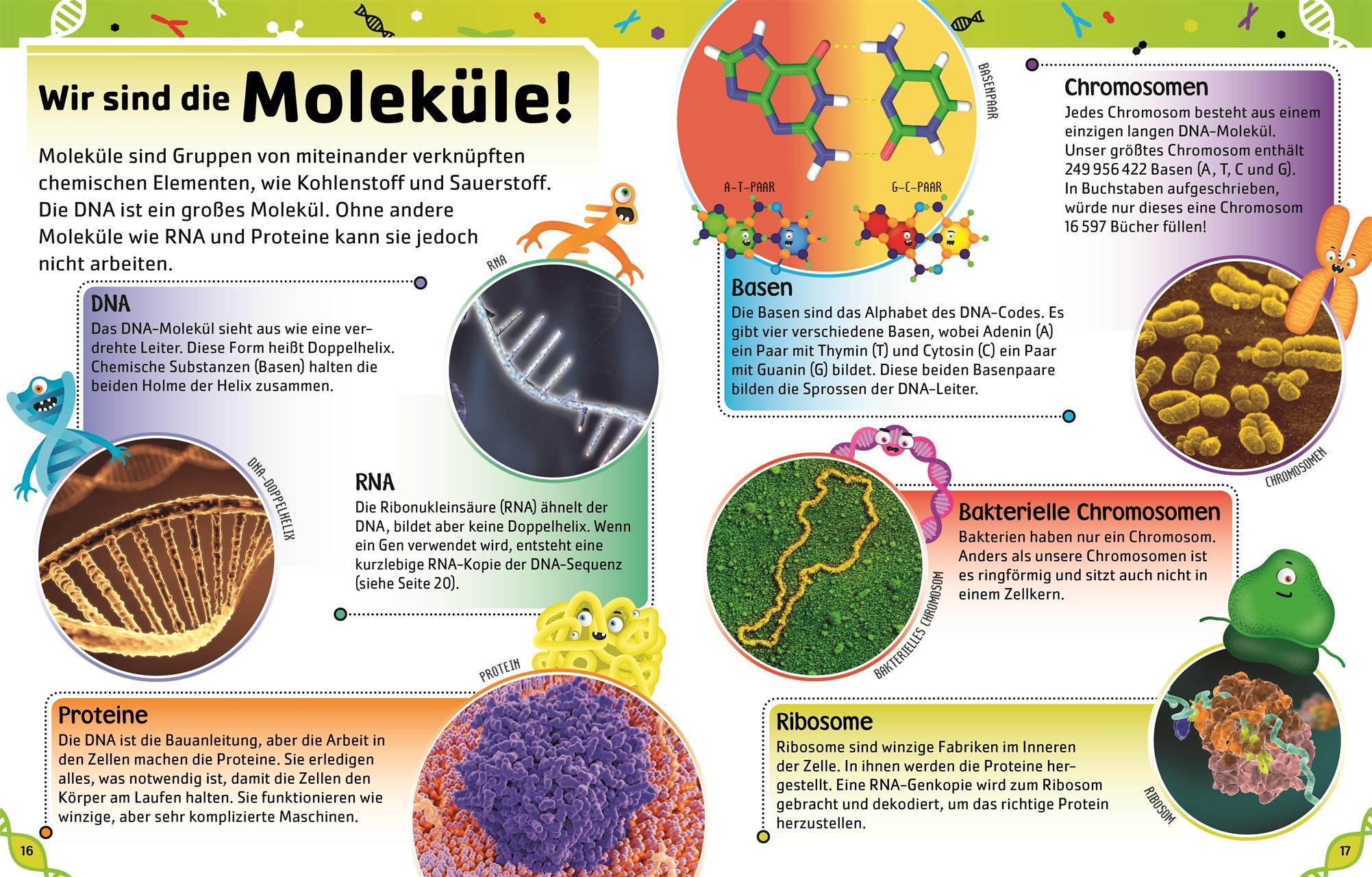 Superschlaue Gene