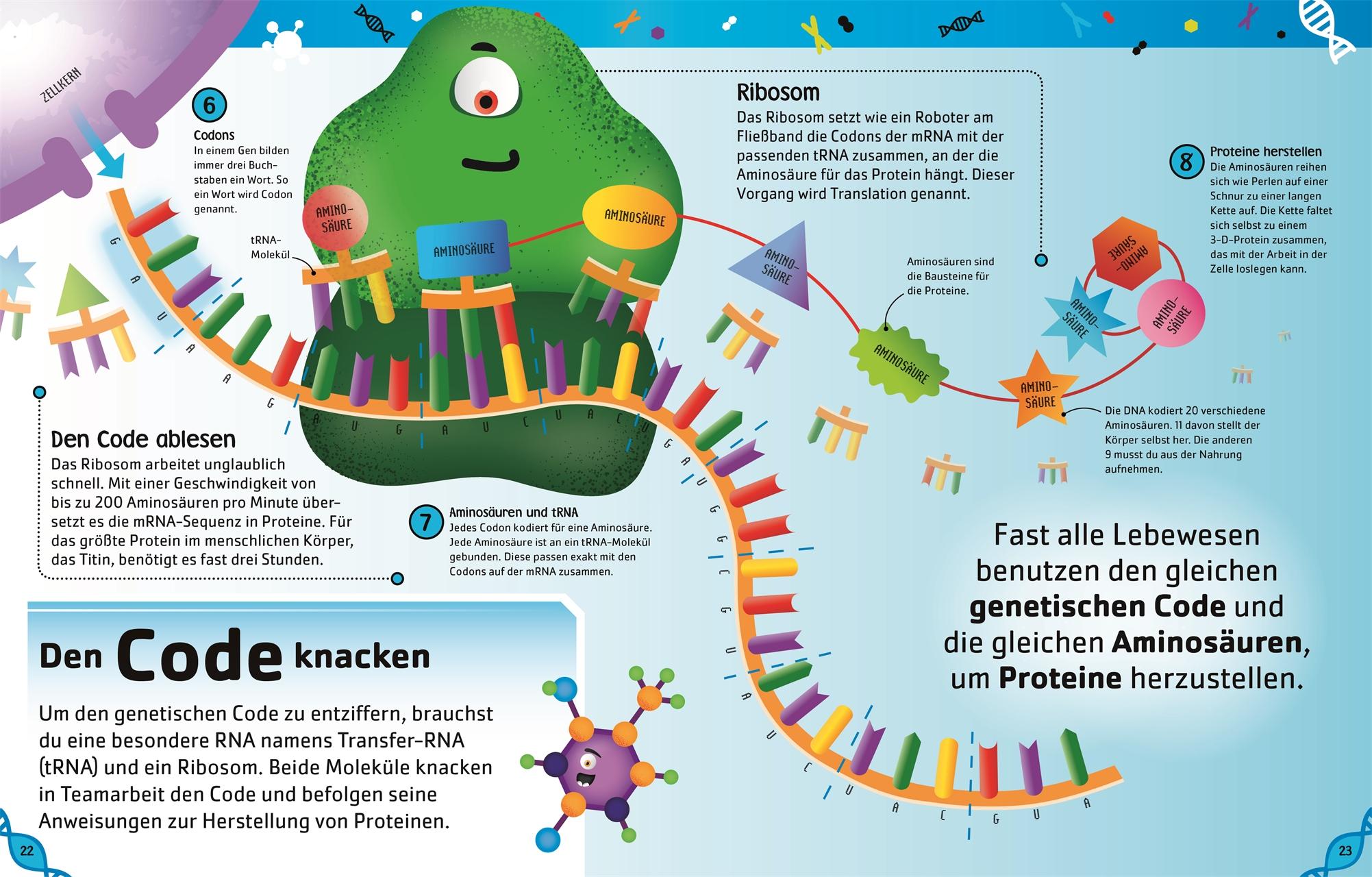 Superschlaue Gene