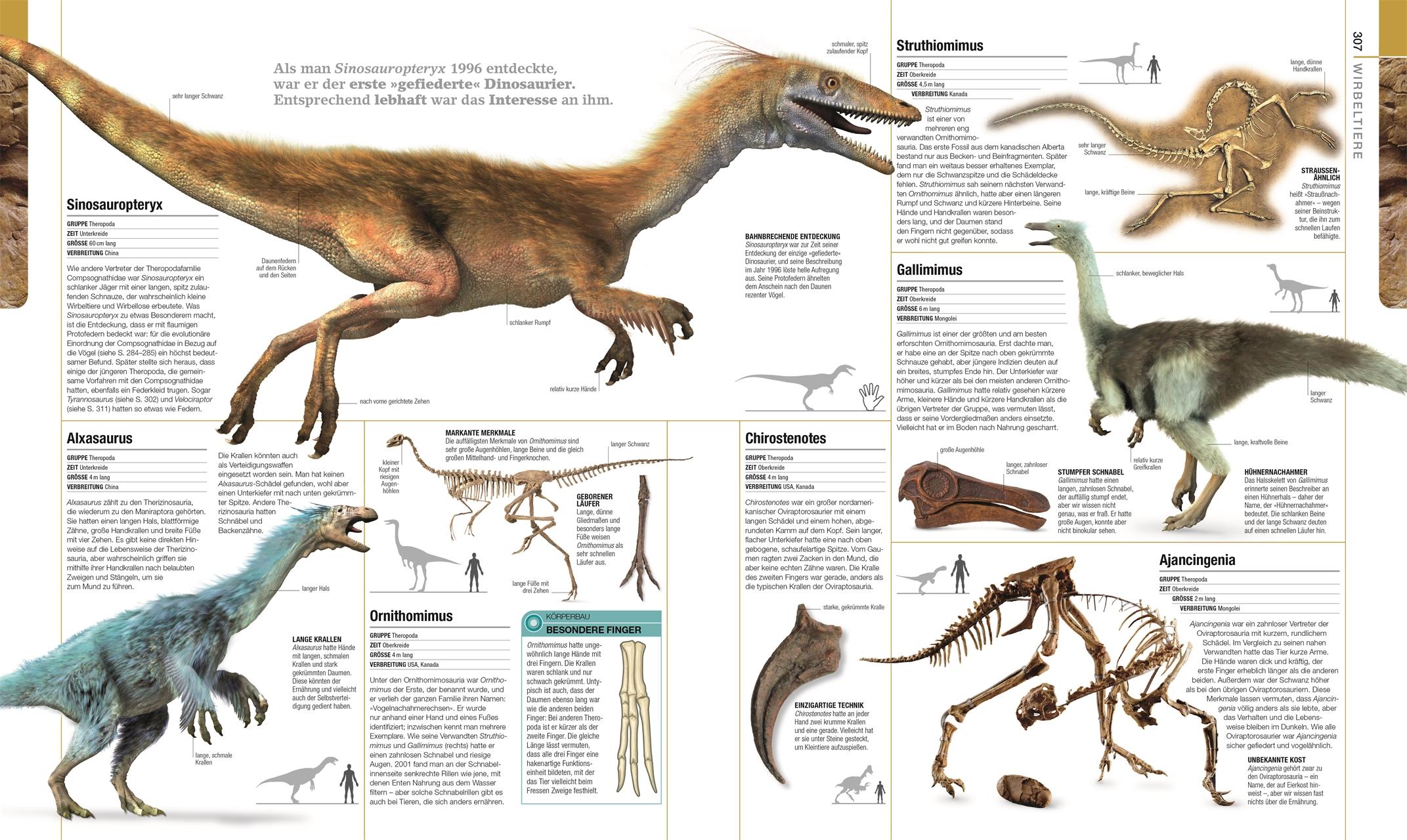 Dinosaurier und andere Lebewesen der Urzeit