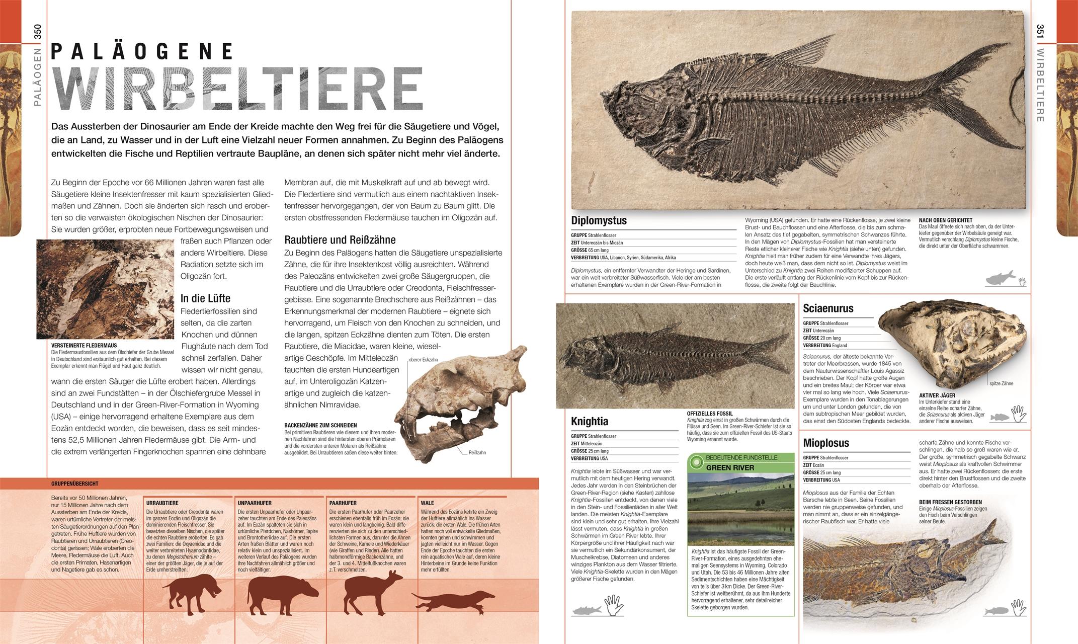 Dinosaurier und andere Lebewesen der Urzeit