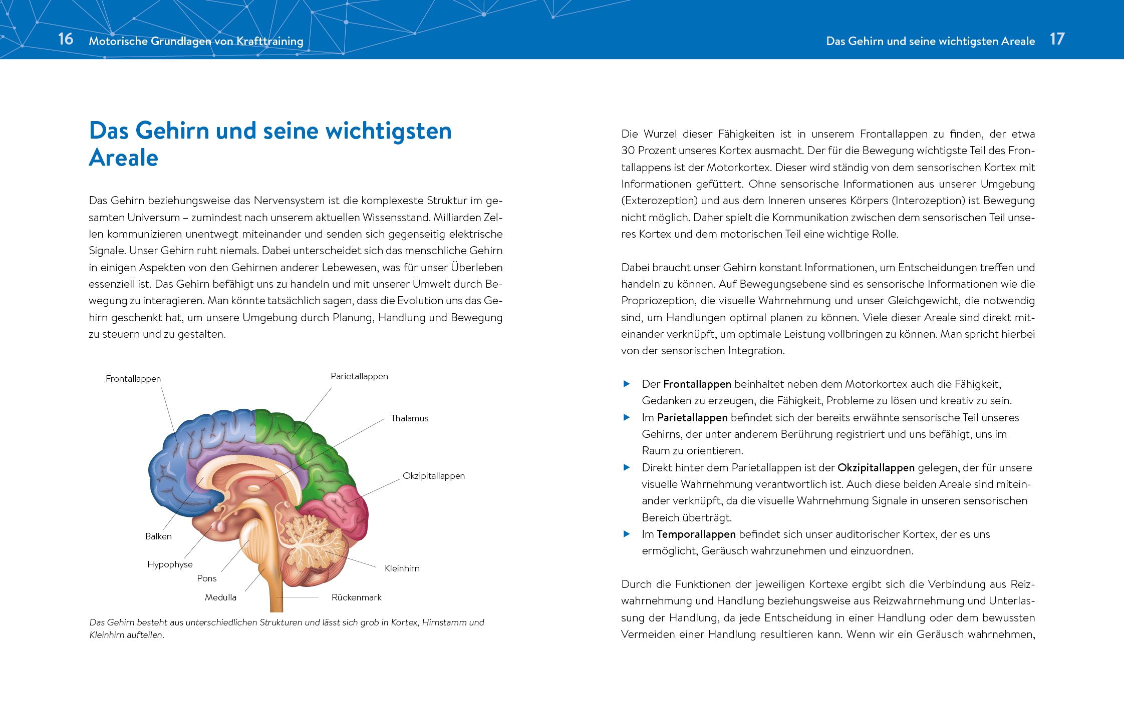 Das neue Krafttraining