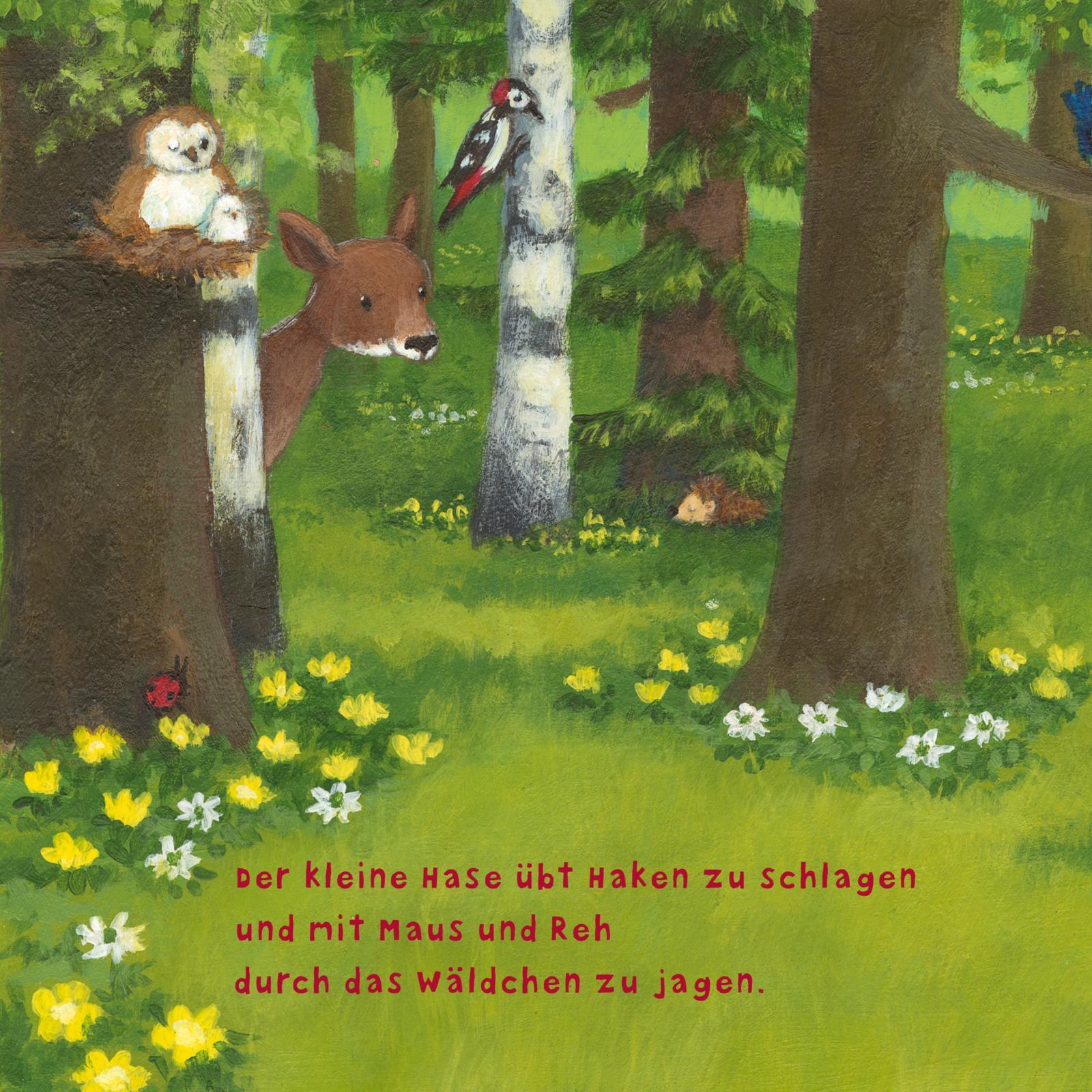 Baby Pixi (unkaputtbar) 97: Der kleine Hase