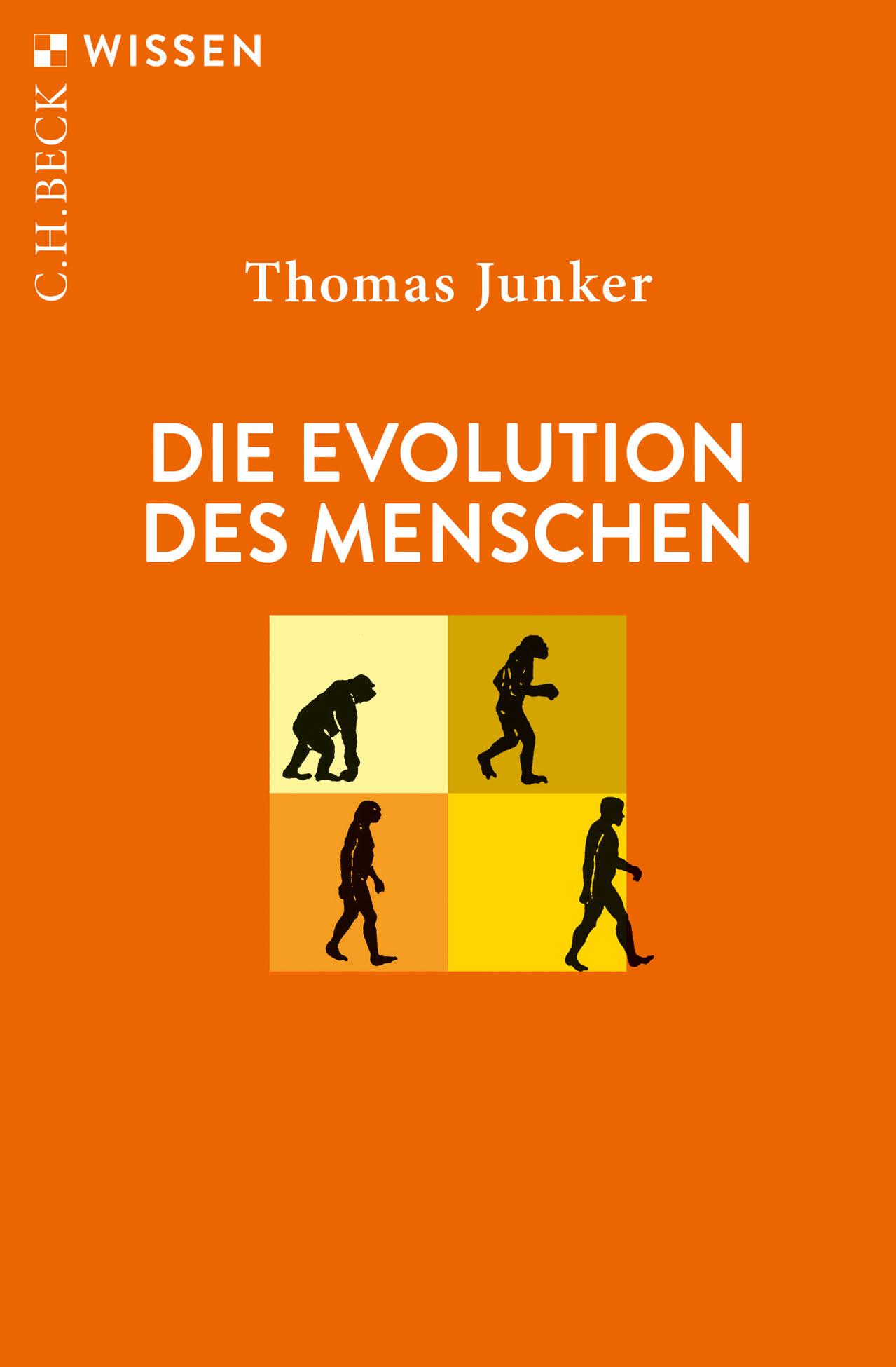 Die Evolution des Menschen