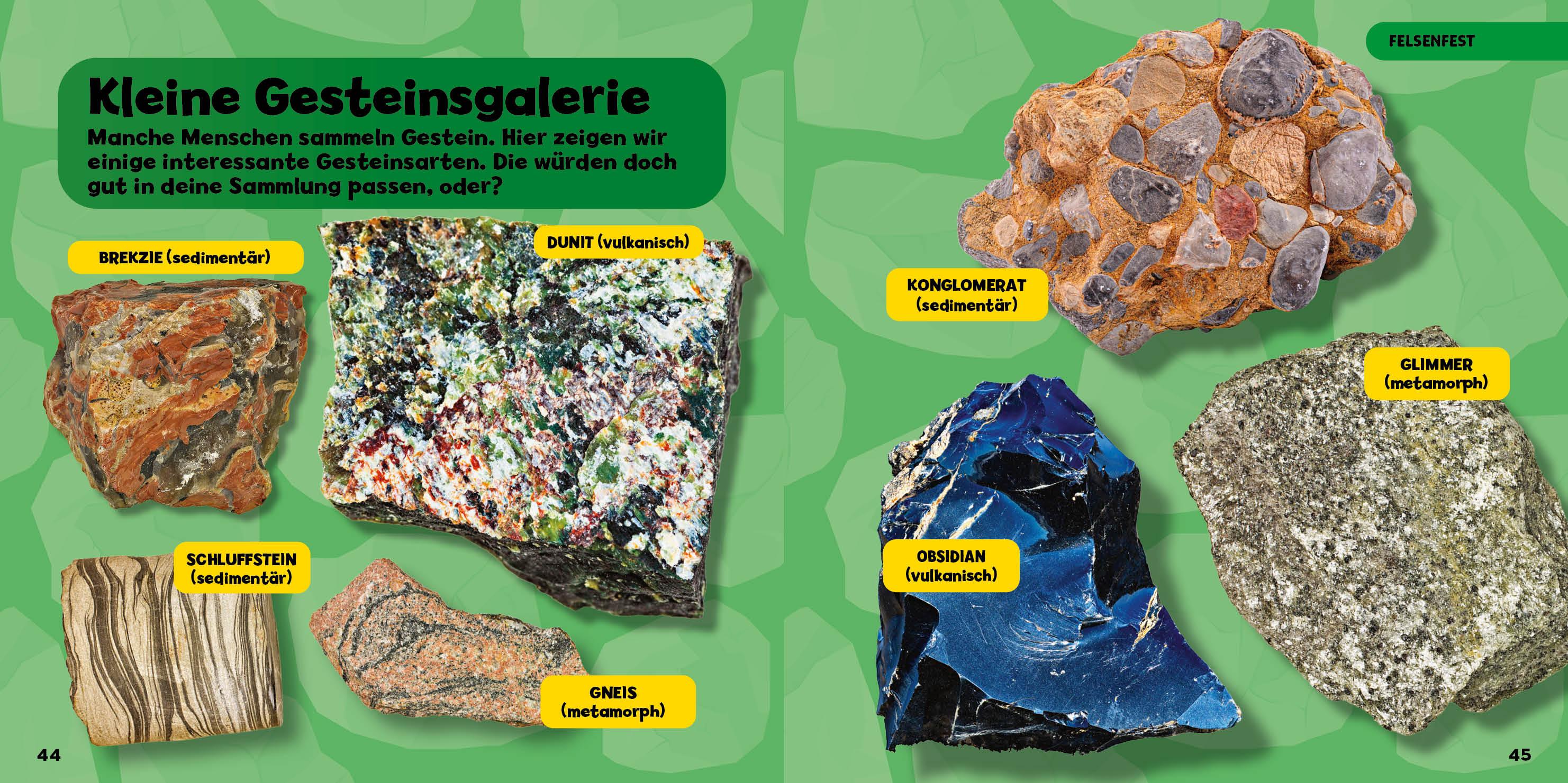 Mein großes Buch der Steine, Mineralien und Muscheln