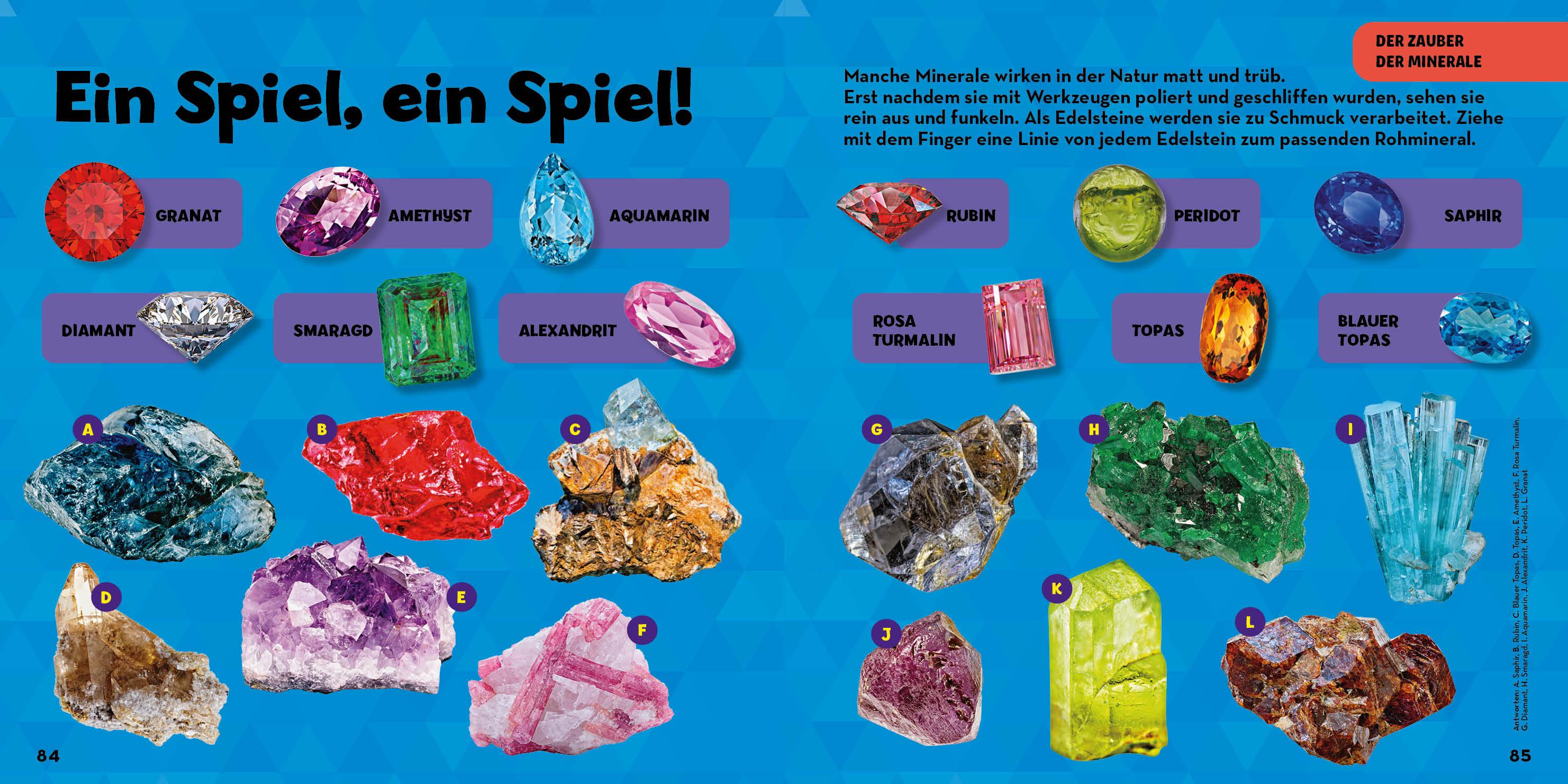 Mein großes Buch der Steine, Mineralien und Muscheln