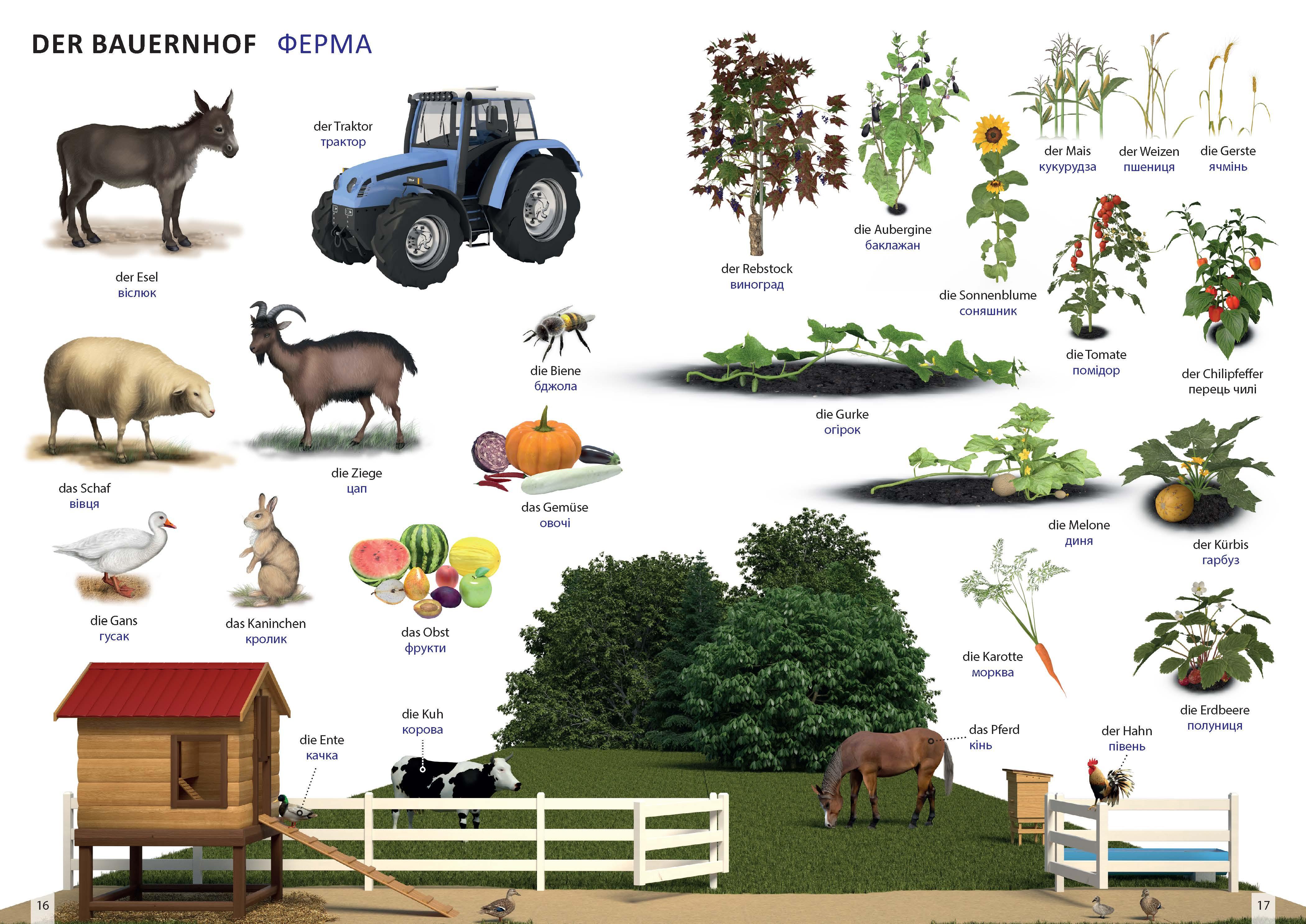 Bildwörterbuch für Kinder und Eltern Ukrainisch-Deutsch