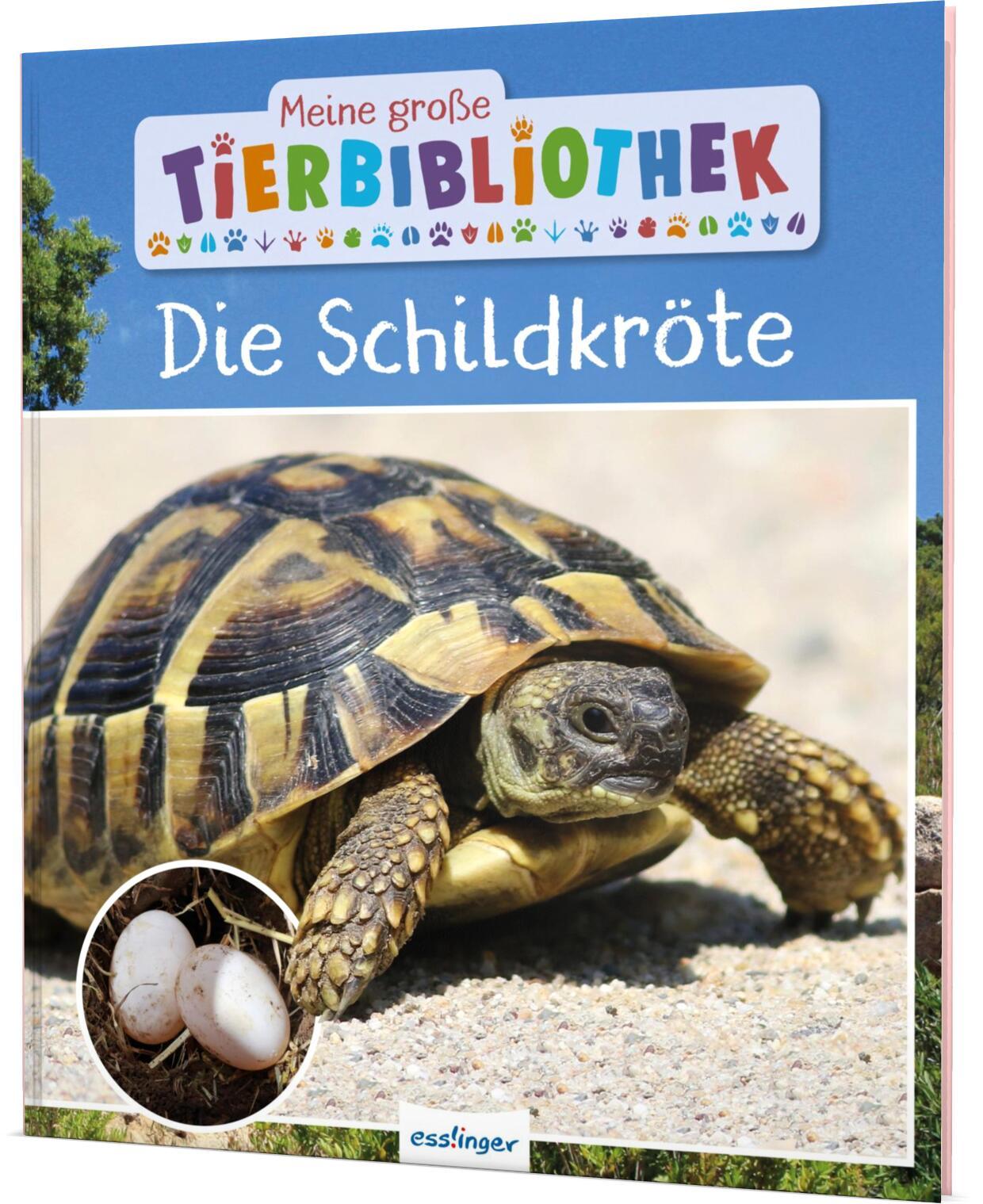 Meine große Tierbibliothek: Die Schildkröte