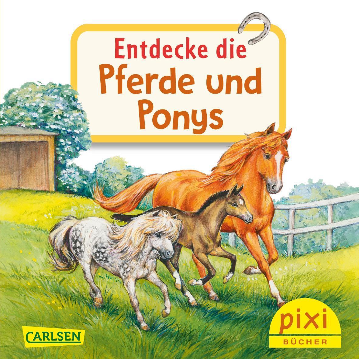 Pixi "Entdecke" Adventskalender