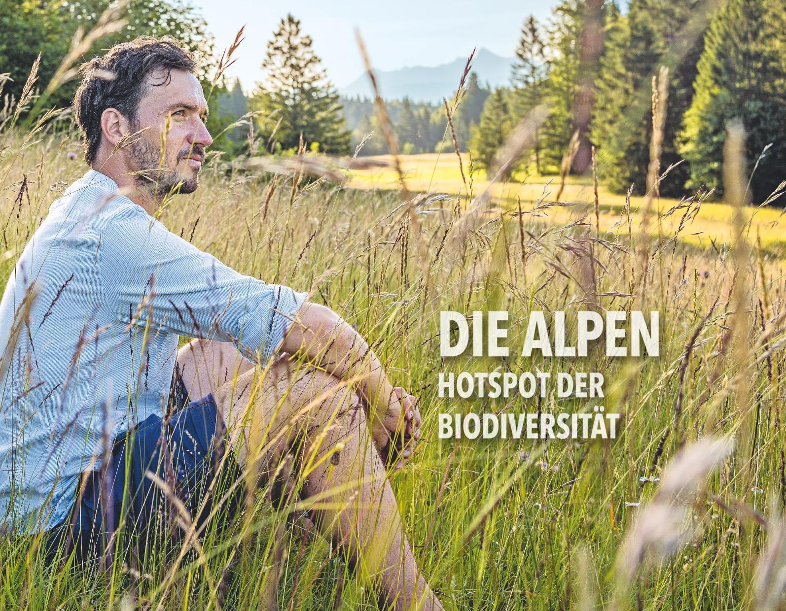 Das Erbe der Alpen