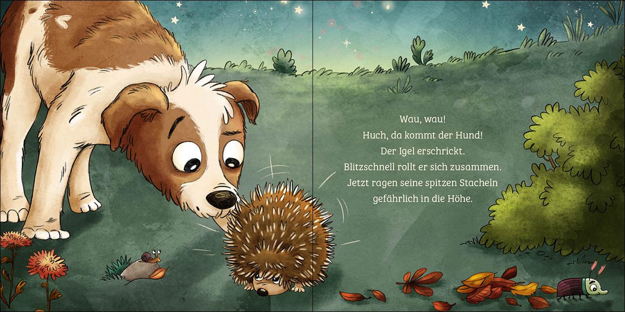 Mein erstes Naturbuch - Der Igel