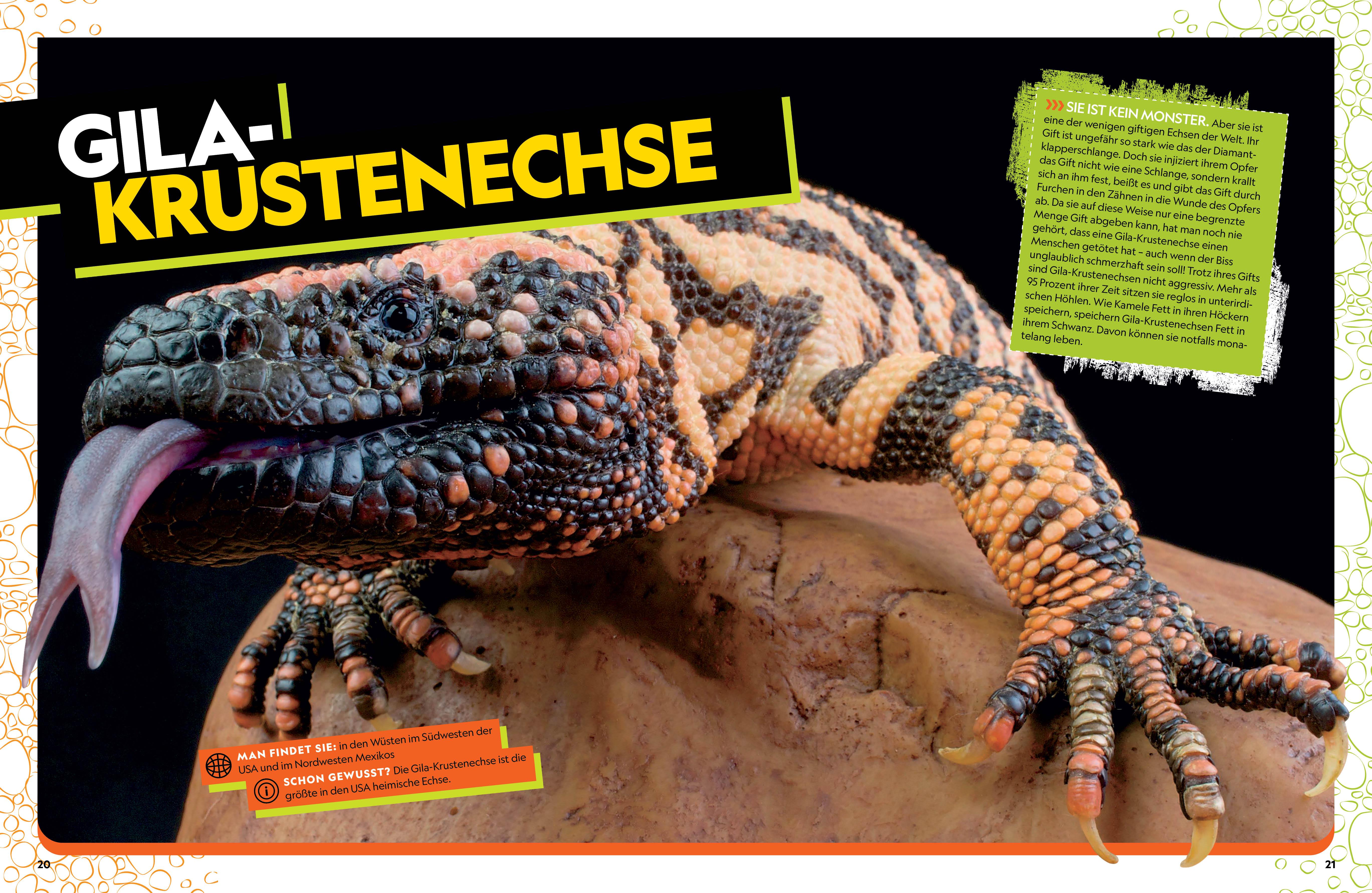 Das ultimative Buch der Reptilien, Die umfassendste Enzyklopädie aller Zeiten