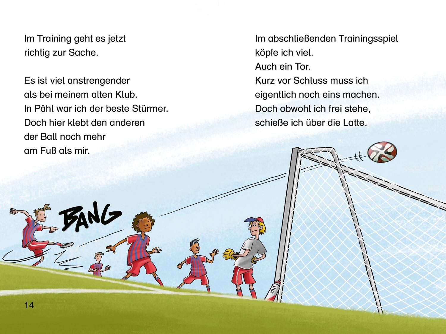 Meine Fußballgeschichten. Alle 3 Bände in einem Buch