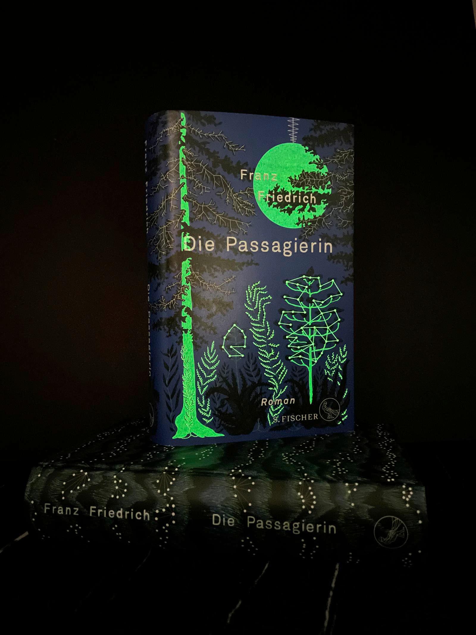 Die Passagierin