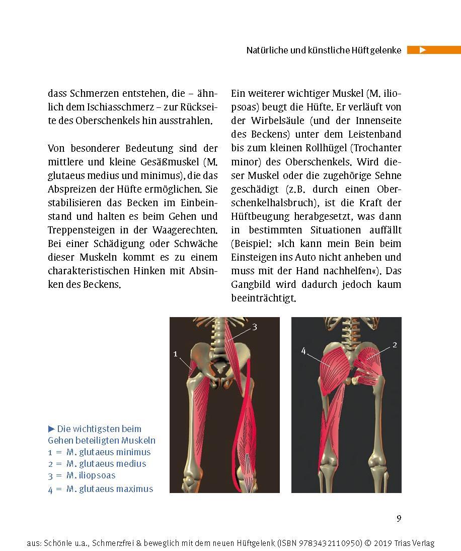 Schmerzfrei & beweglich mit dem neuen Hüftgelenk