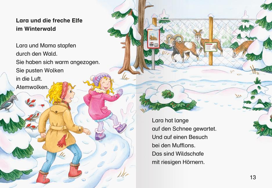 Adventskalender für Erstleser - Lesen lernen mit dem Leserabe - Erstlesebuch - Kinderbuch ab 6 Jahren - Lesen lernen 1. Klasse Jungen und Mädchen (Leserabe 1. Klasse)