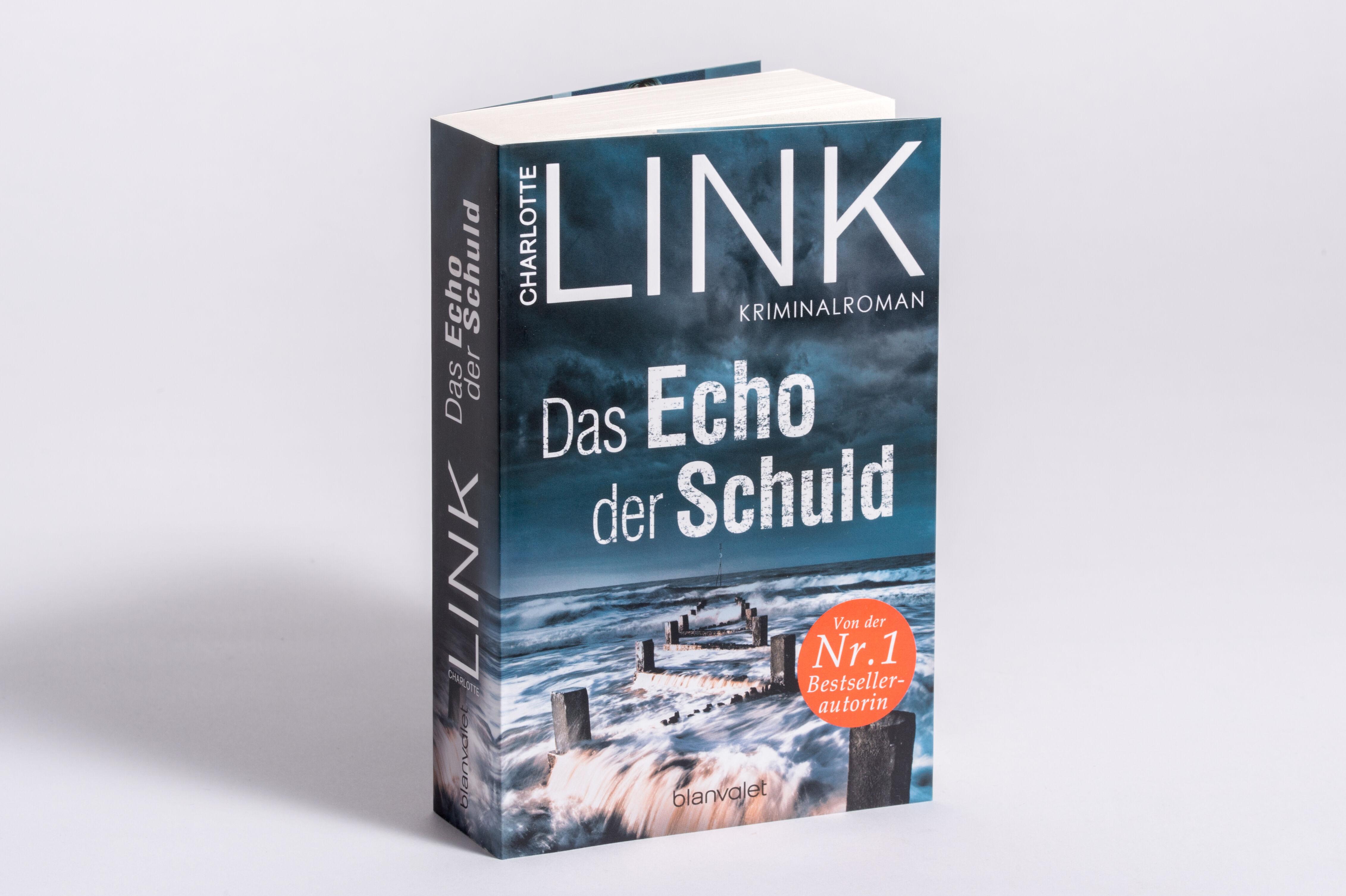 Das Echo der Schuld