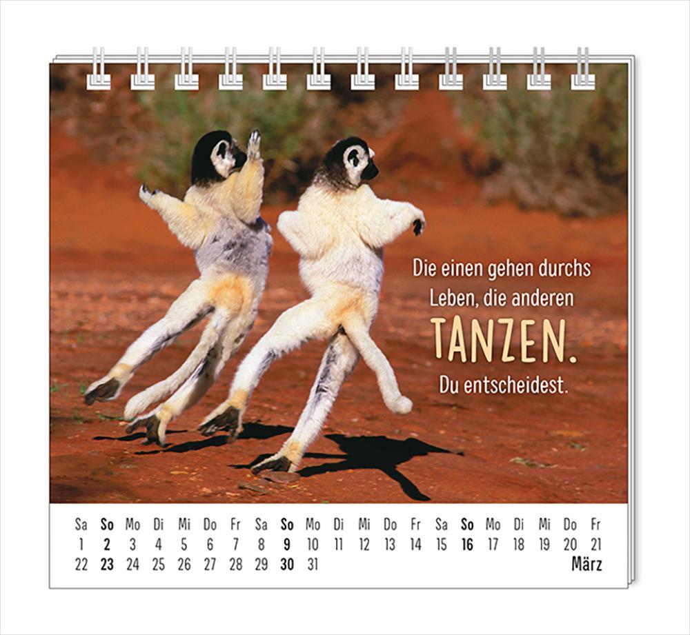 Mini-Kalender 2025 Happymacher