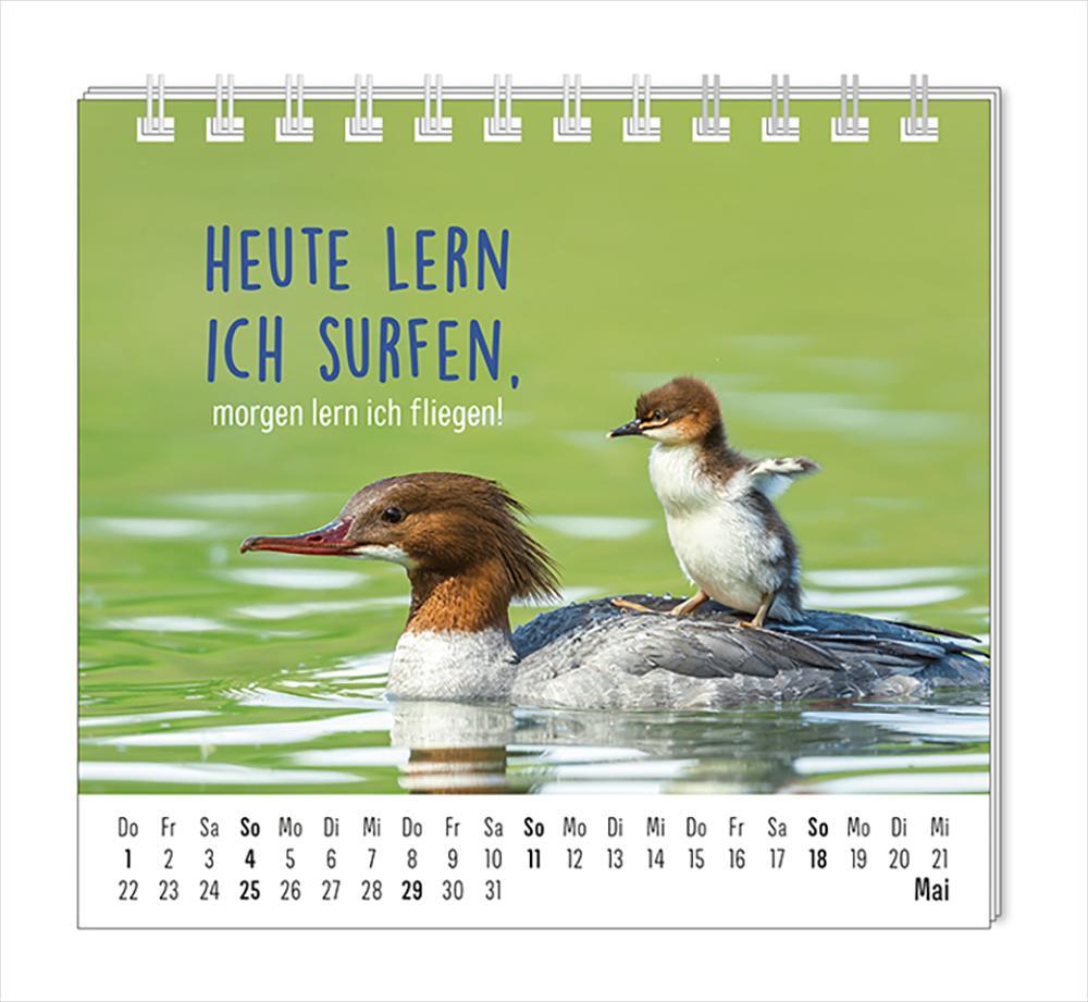 Mini-Kalender 2025 Happymacher