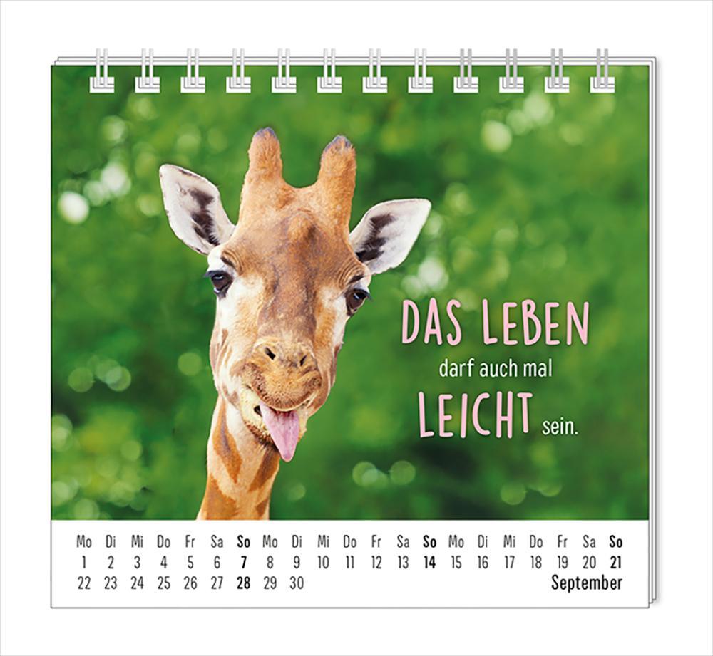 Mini-Kalender 2025 Happymacher