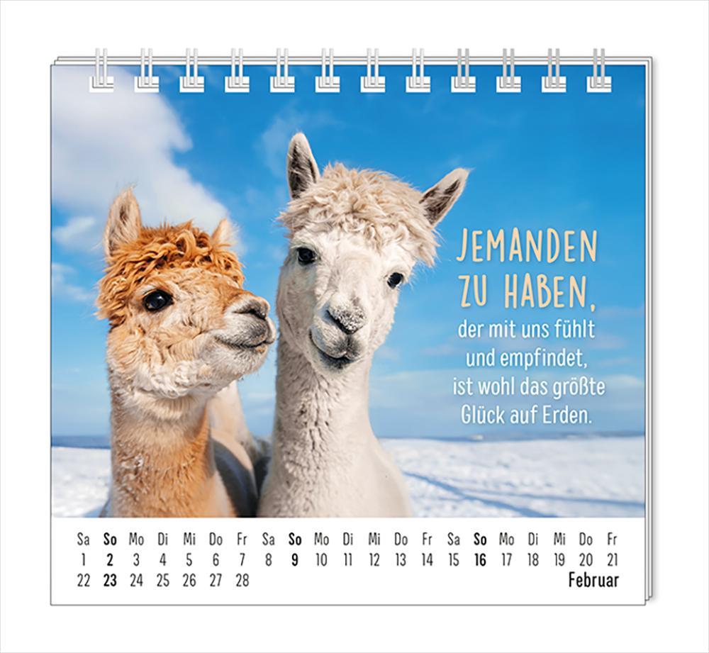 Mini-Kalender 2025 Happymacher