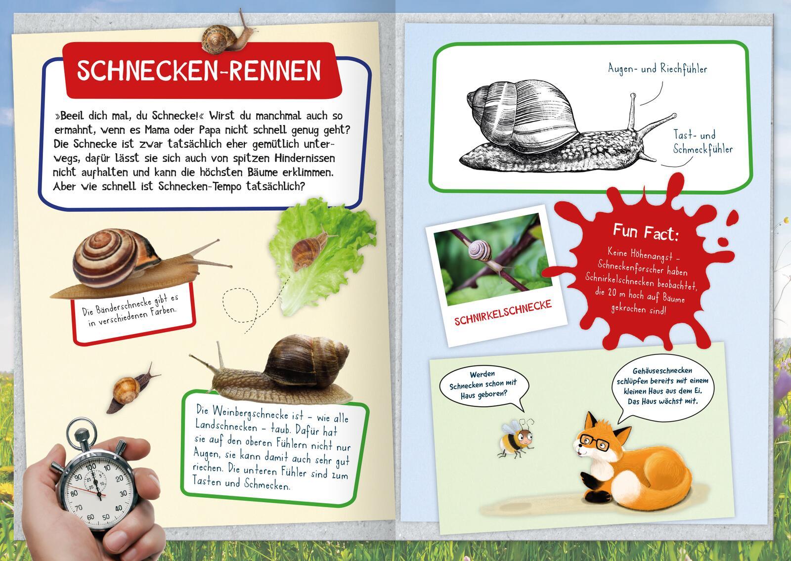 Naturforscher-Kids - Mein erstes Naturforscher-Buch