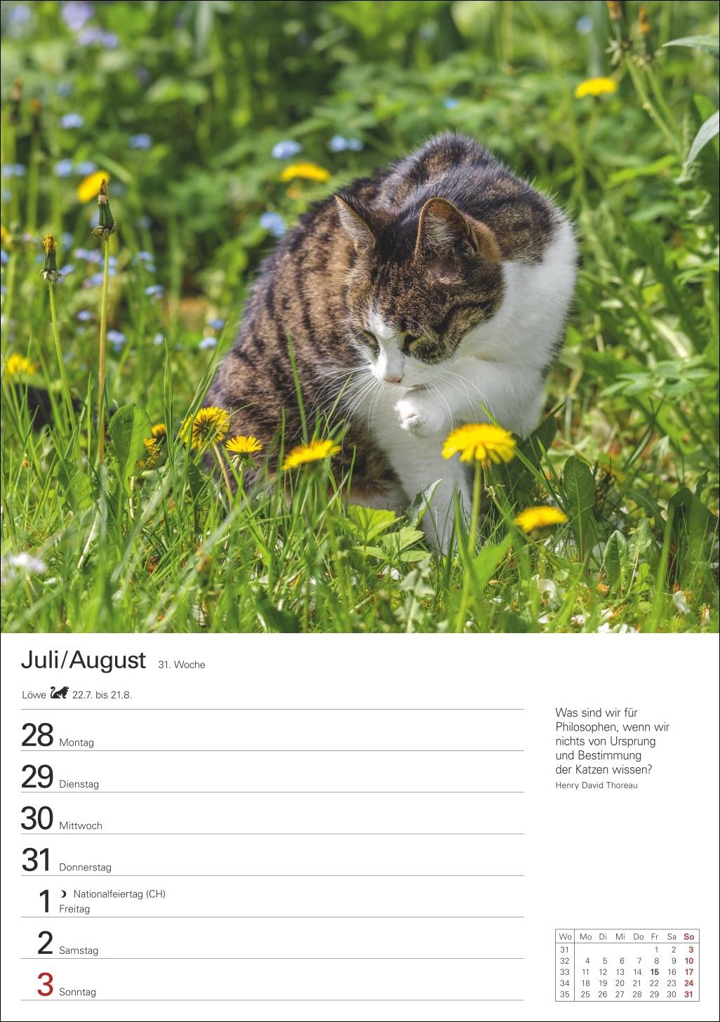 Katzen Wochenplaner 2025 - 53 Blatt mit Zitaten und Wochenchronik