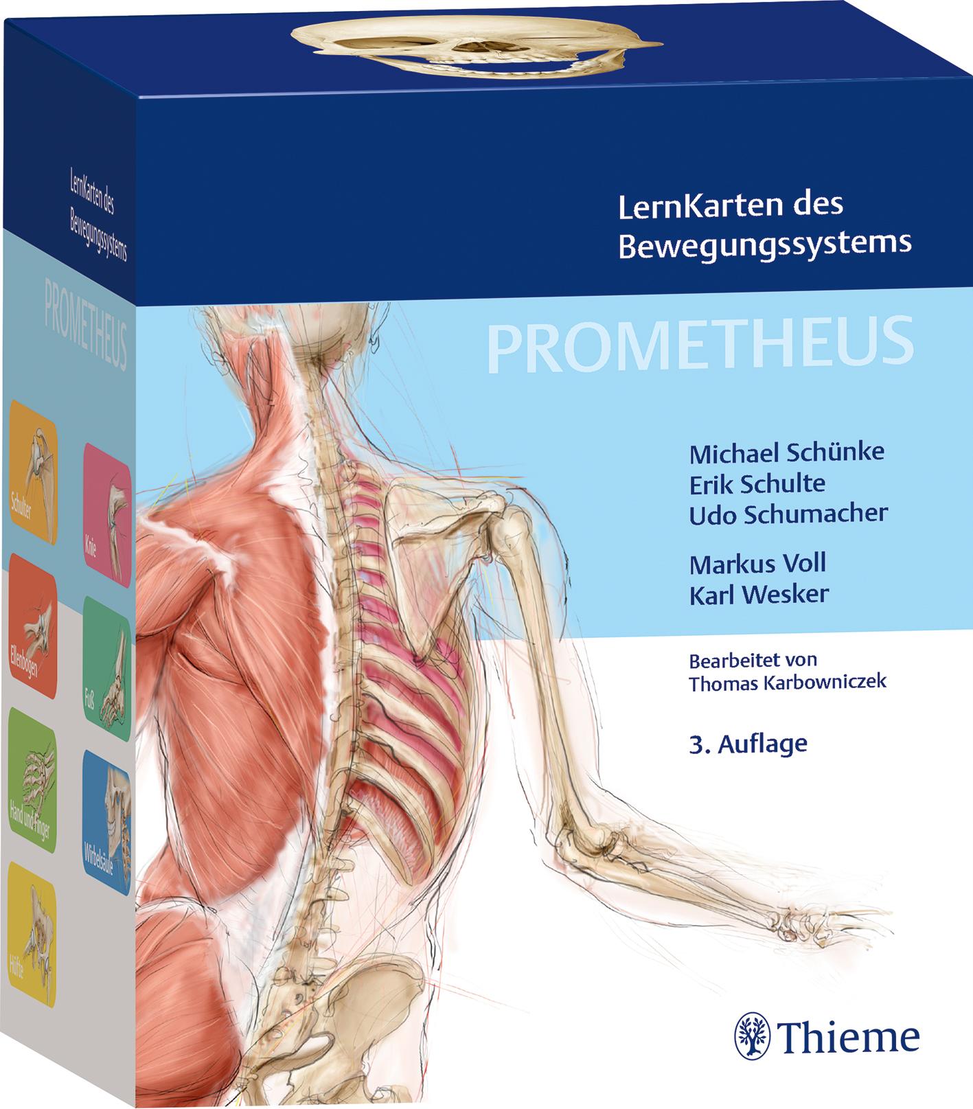 PROMETHEUS LernKarten des Bewegungssystems