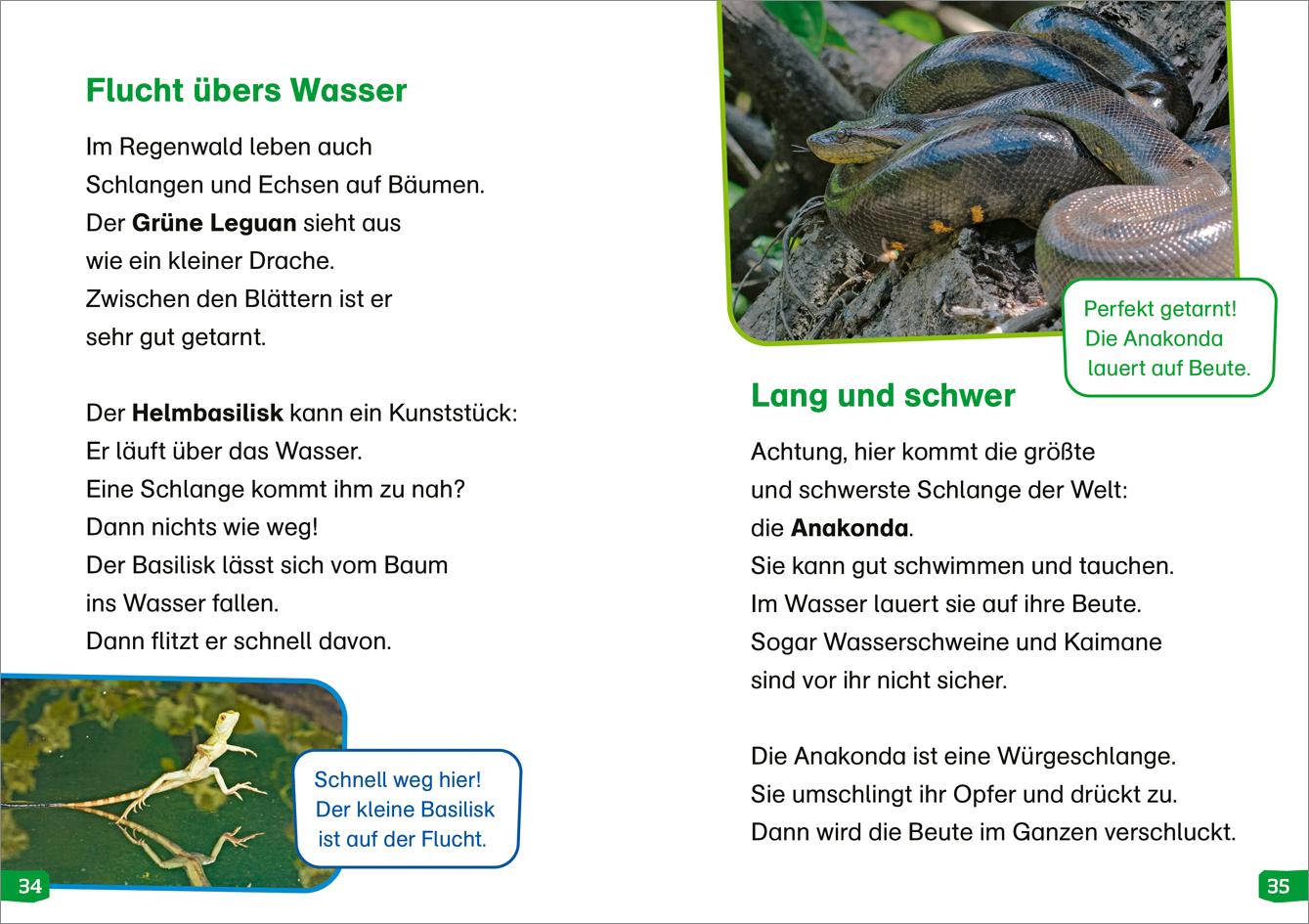 WAS IST WAS Erstes Lesen easy! Band 18. Tiere im Regenwald