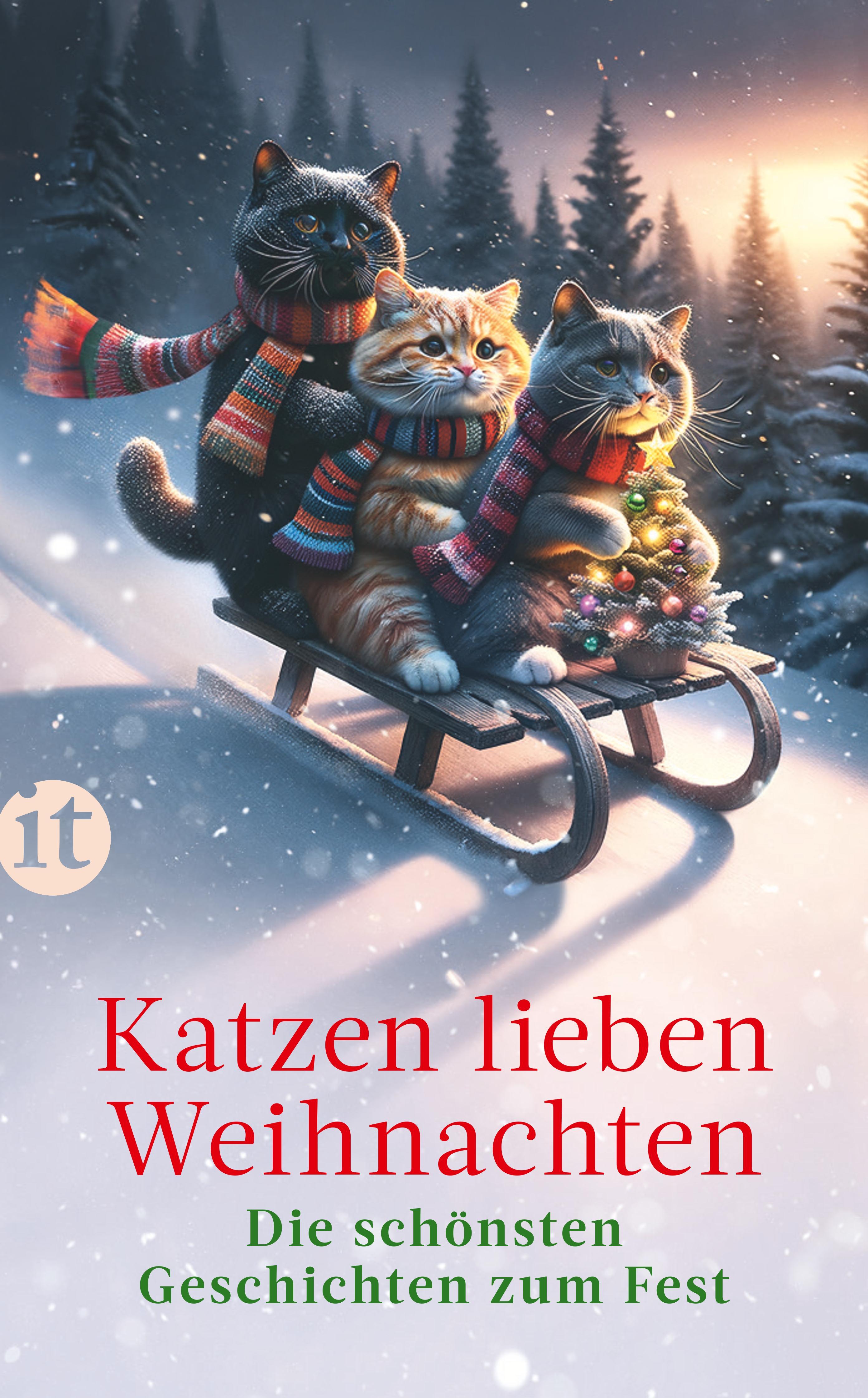 Katzen lieben Weihnachten