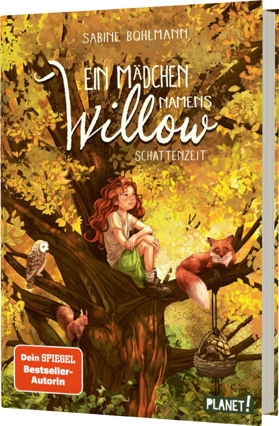 Ein Mädchen namens Willow 5: Schattenzeit