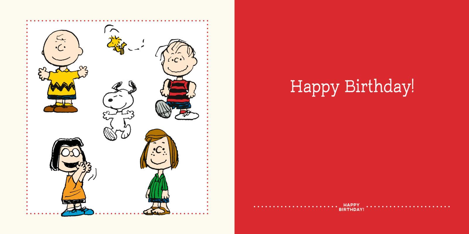 Peanuts Geschenkbuch: Happy Birthday!