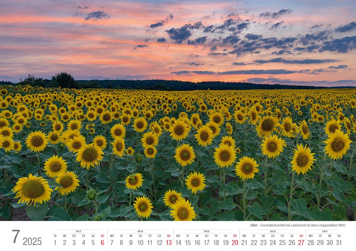 Eifel 2025 Bildkalender A3 Spiralbindung