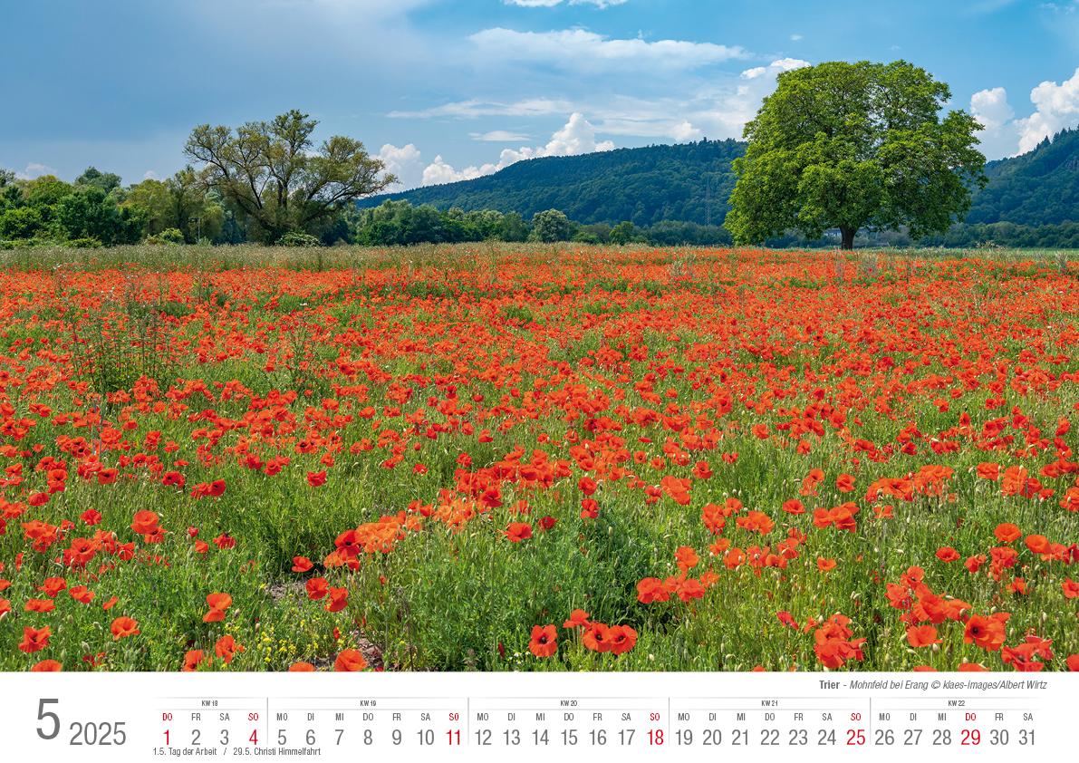 Trier 2025 Bildkalender A3 Spiralbindung