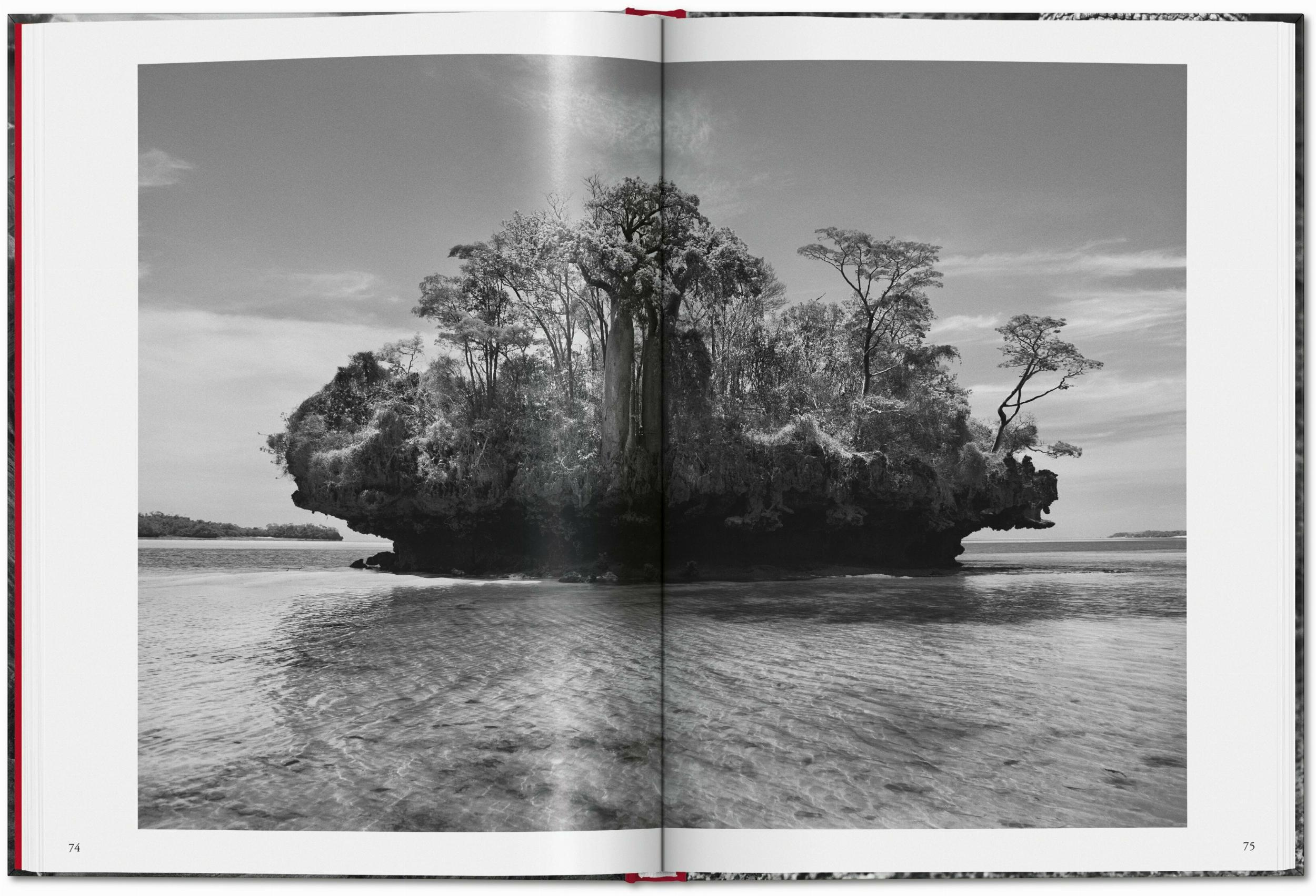 Sebastião Salgado. Genesis