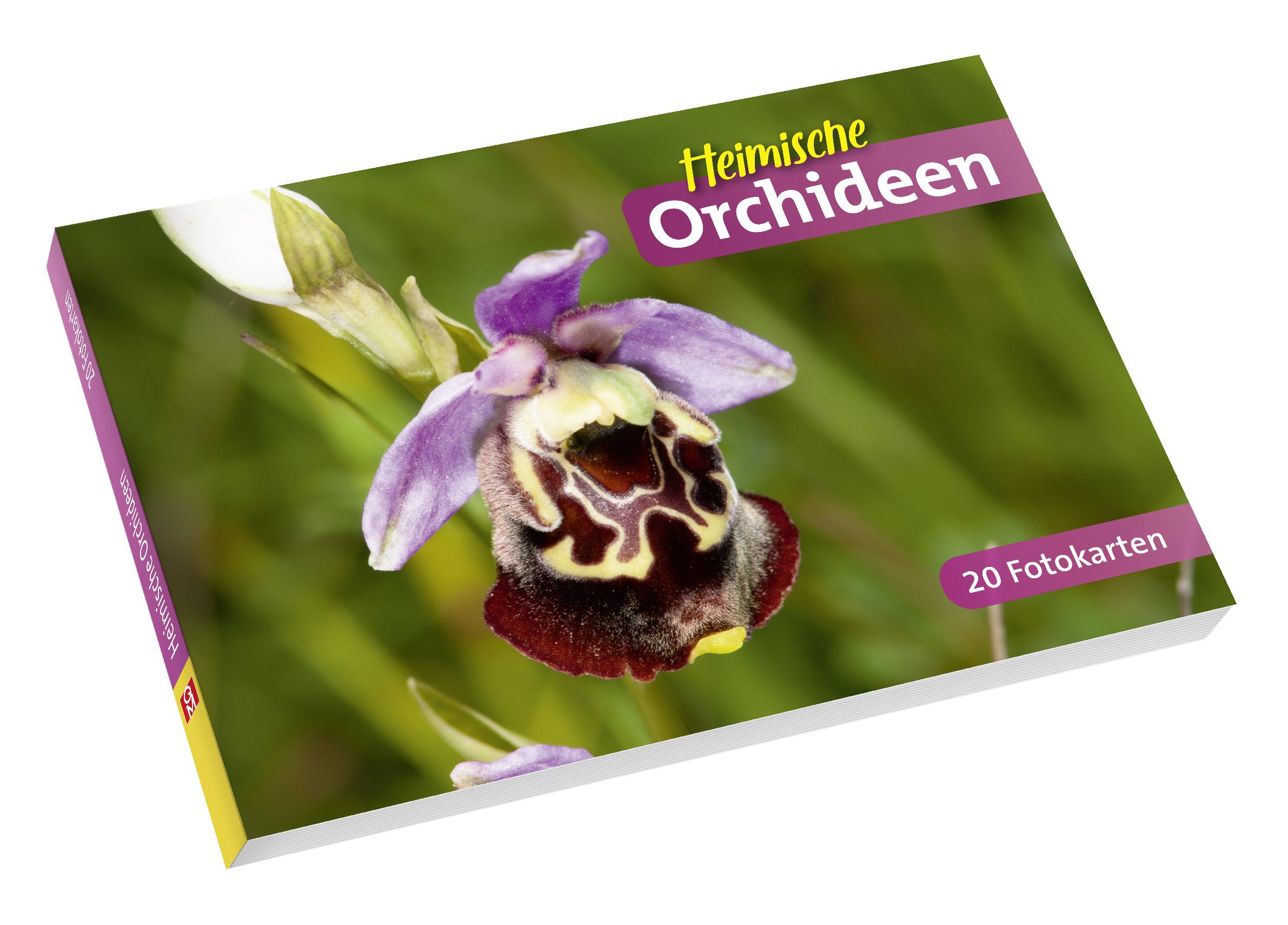 Heimische Orchideen