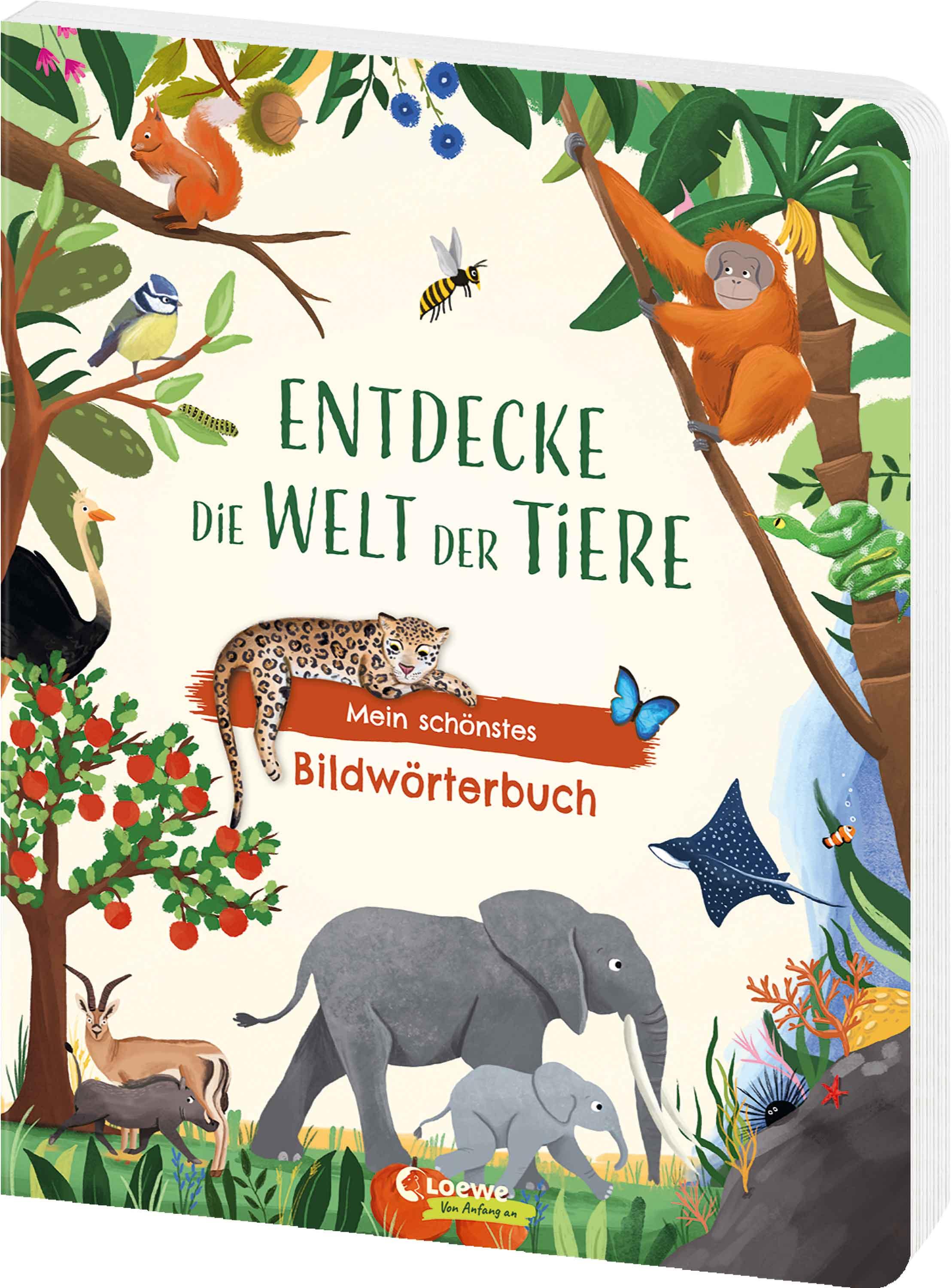 Entdecke die Welt der Tiere - Mein schönstes Bildwörterbuch