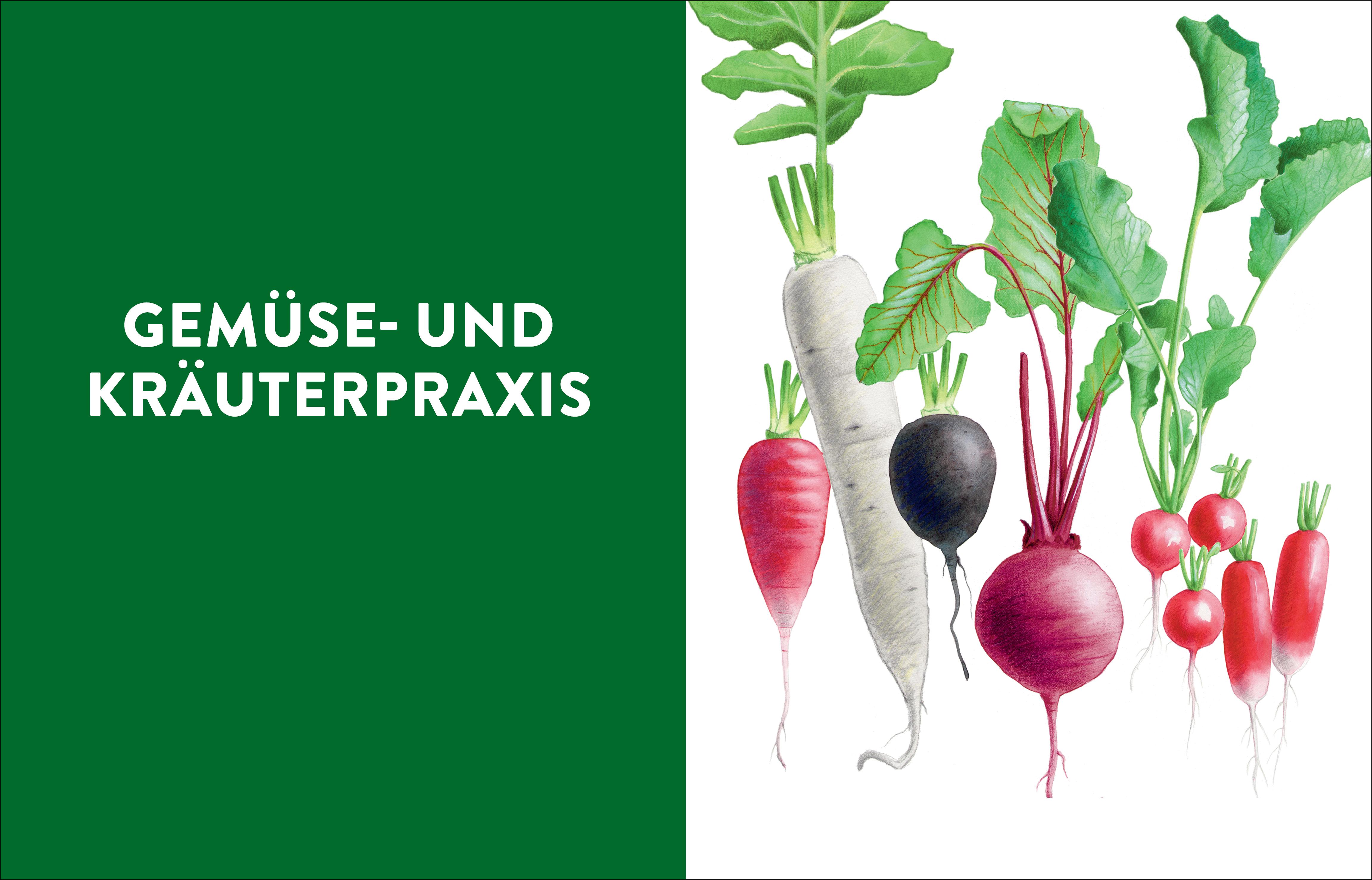 Das große Gemüse- und Obstgartenbuch